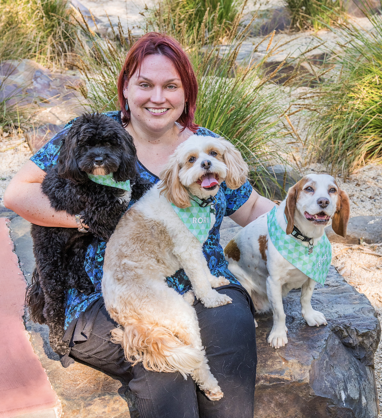 12 Points Psychology and Training Danielle Graber