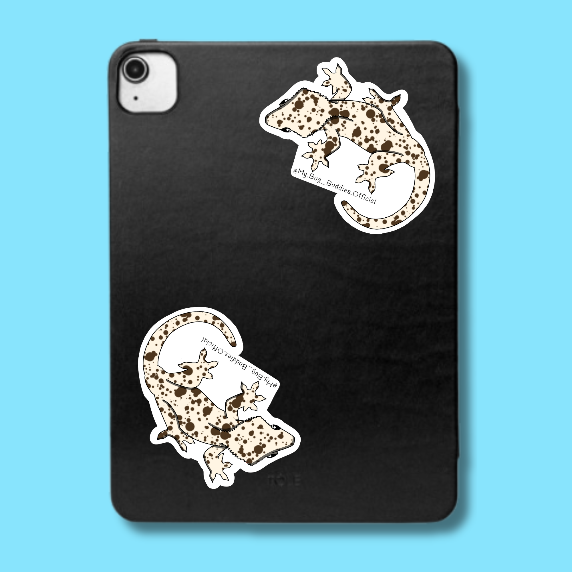 S-098 V.5 Crested Gecko LC.png