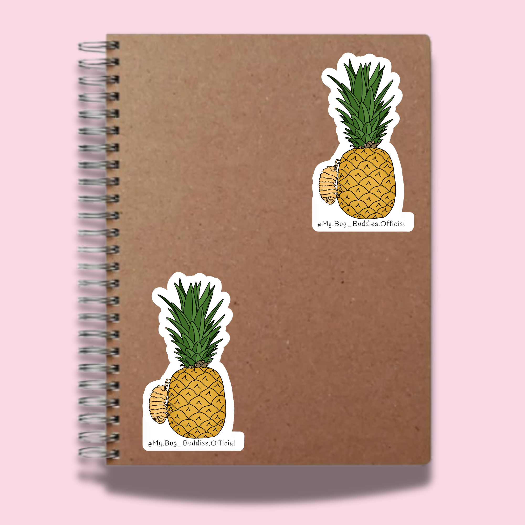 S-015  Pineapple-Pod NC.png