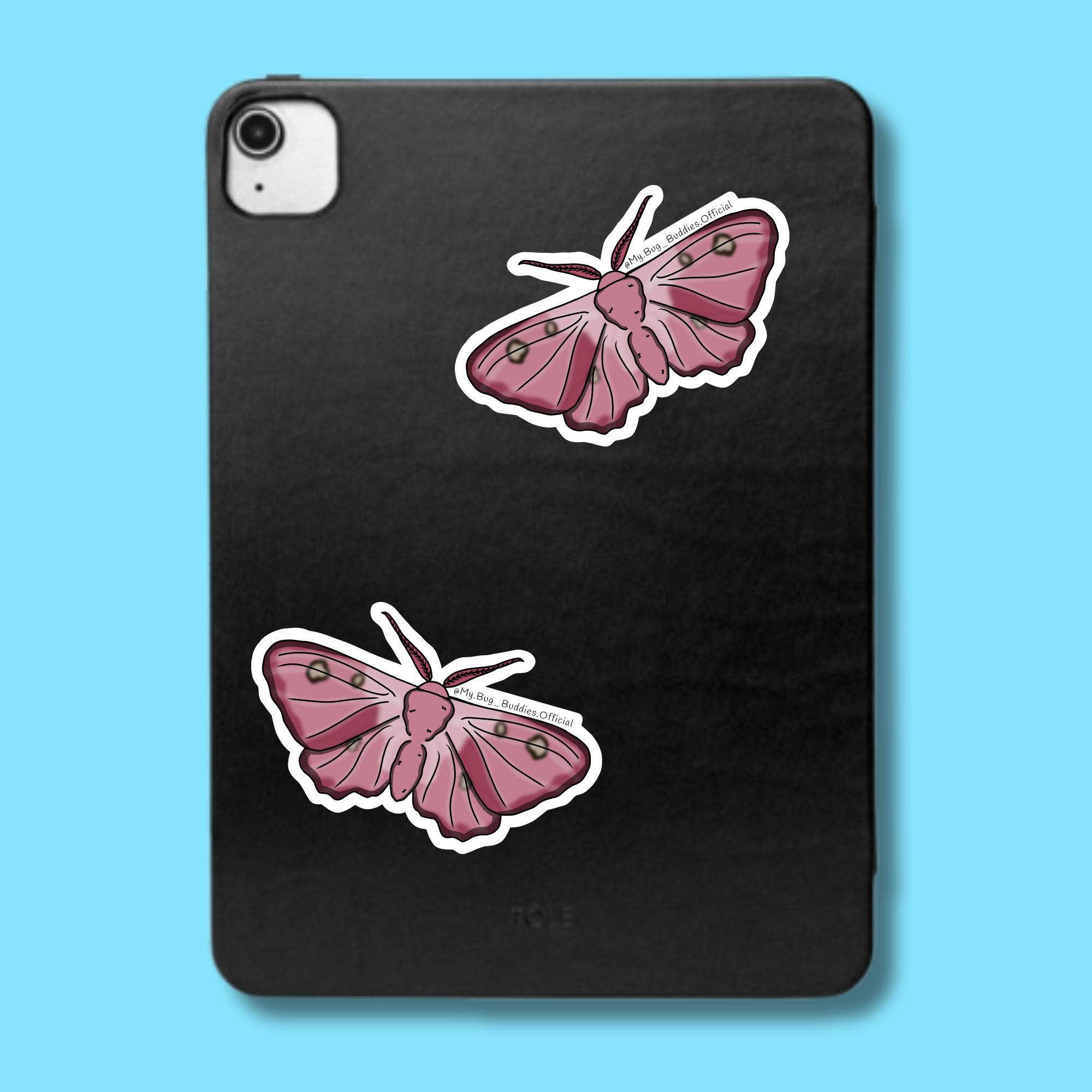 S-124 Dogins Pink Bullseye Moth LC.png