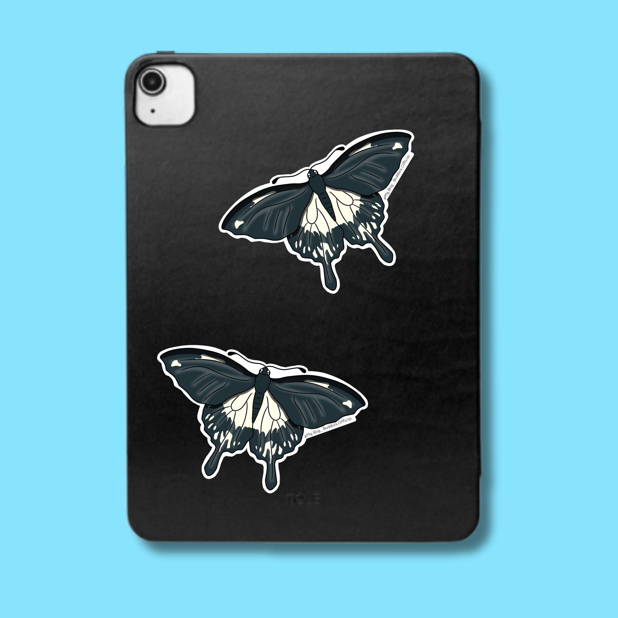 S-139 Swallowtail Butterfly LC.png