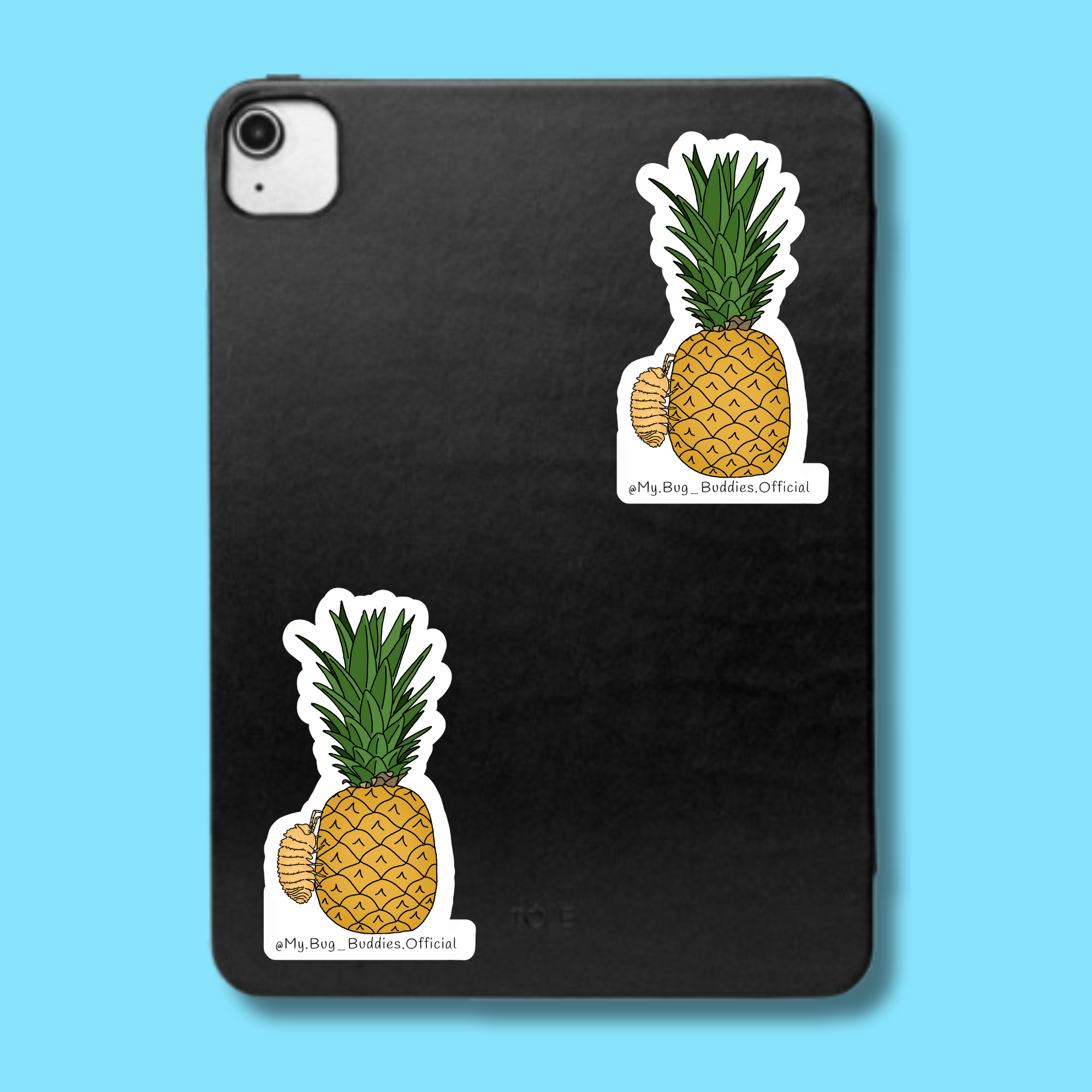 S-015  Pineapple-Pod LC.png