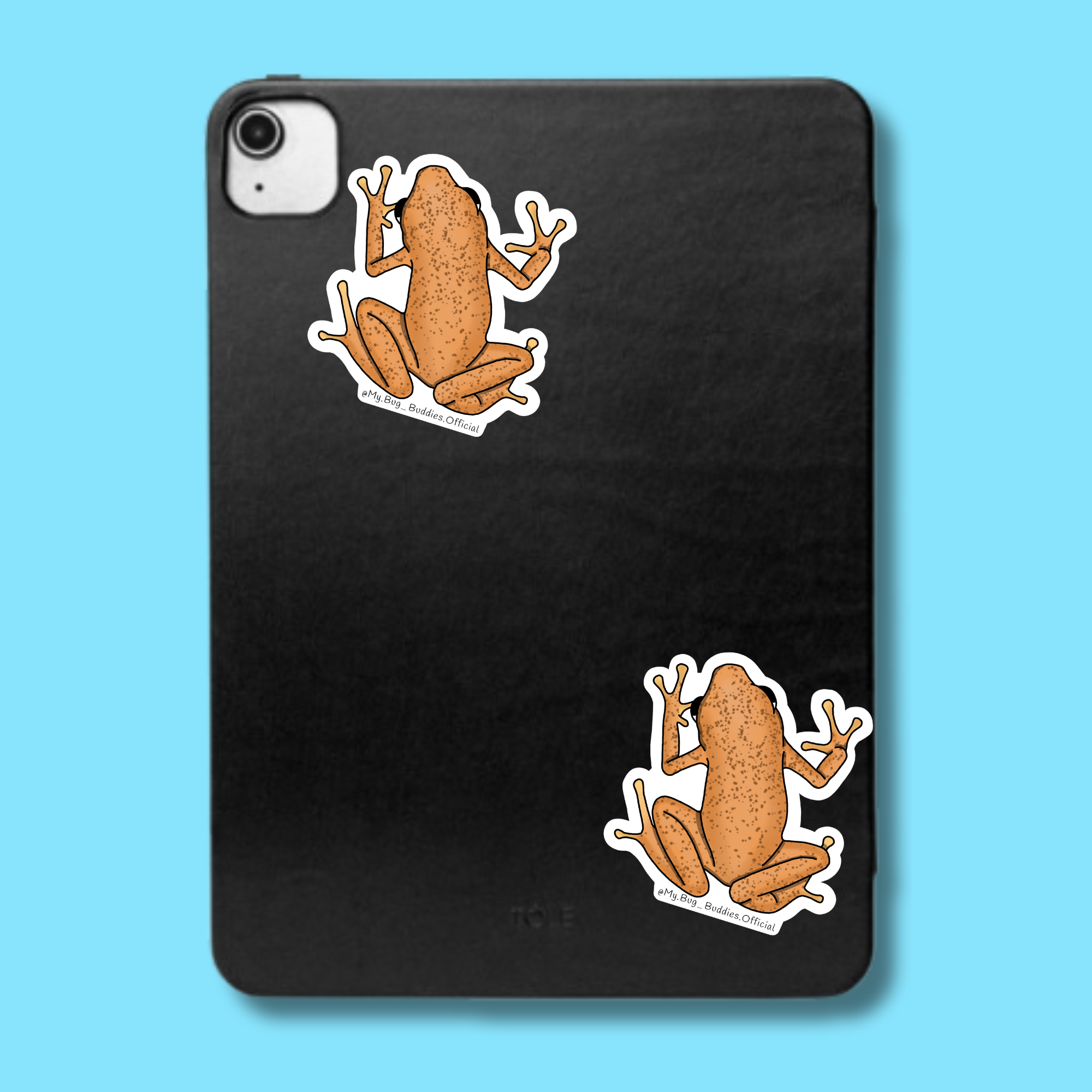 S-063 Dart Frog LC.png