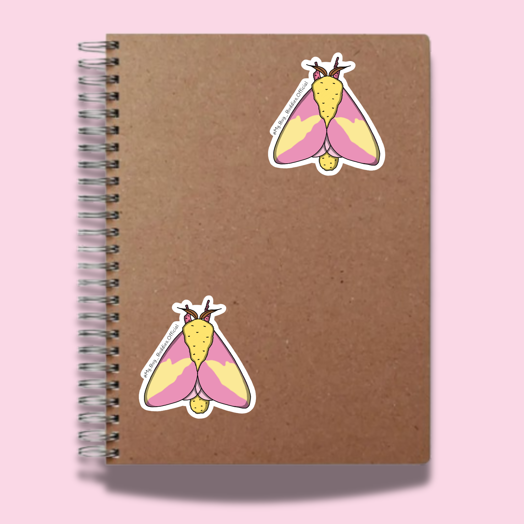 S-005 Rosy Maple Moth NC.png