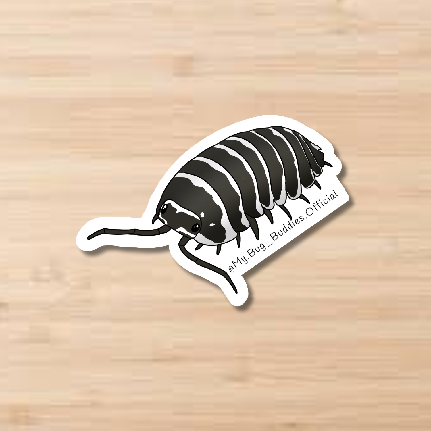 Website Product Pictures (12).png