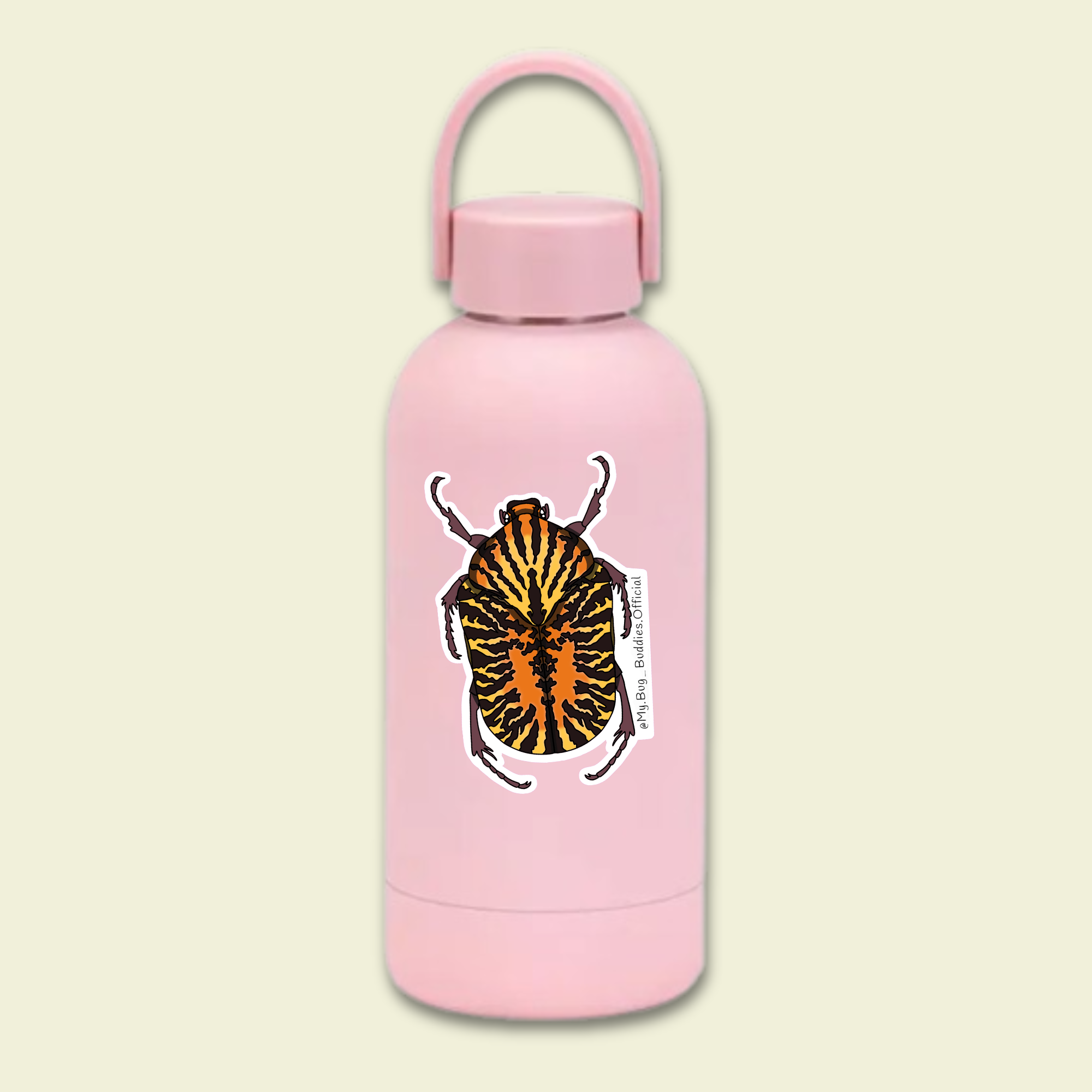 S-129 Mexican Flower Chafer Beetle WC.png