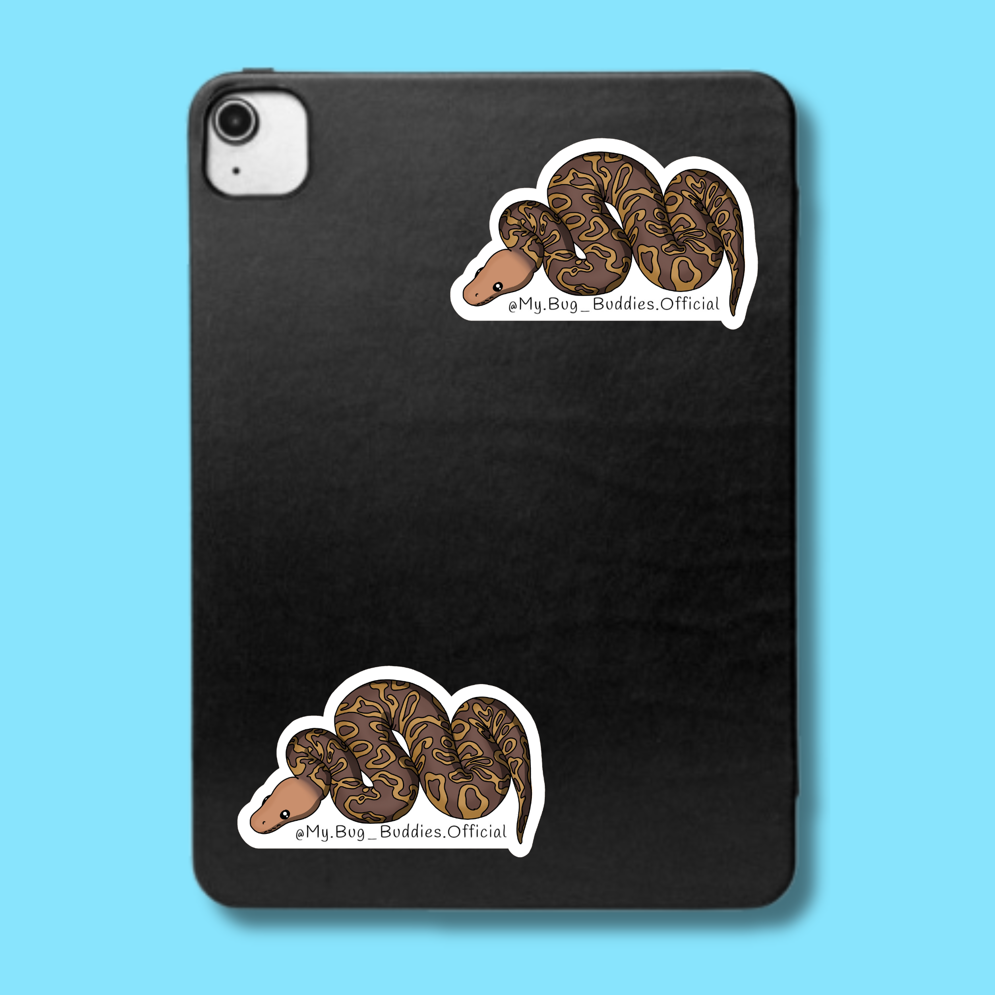 S-031 Brown & Yellow Boa LC.png