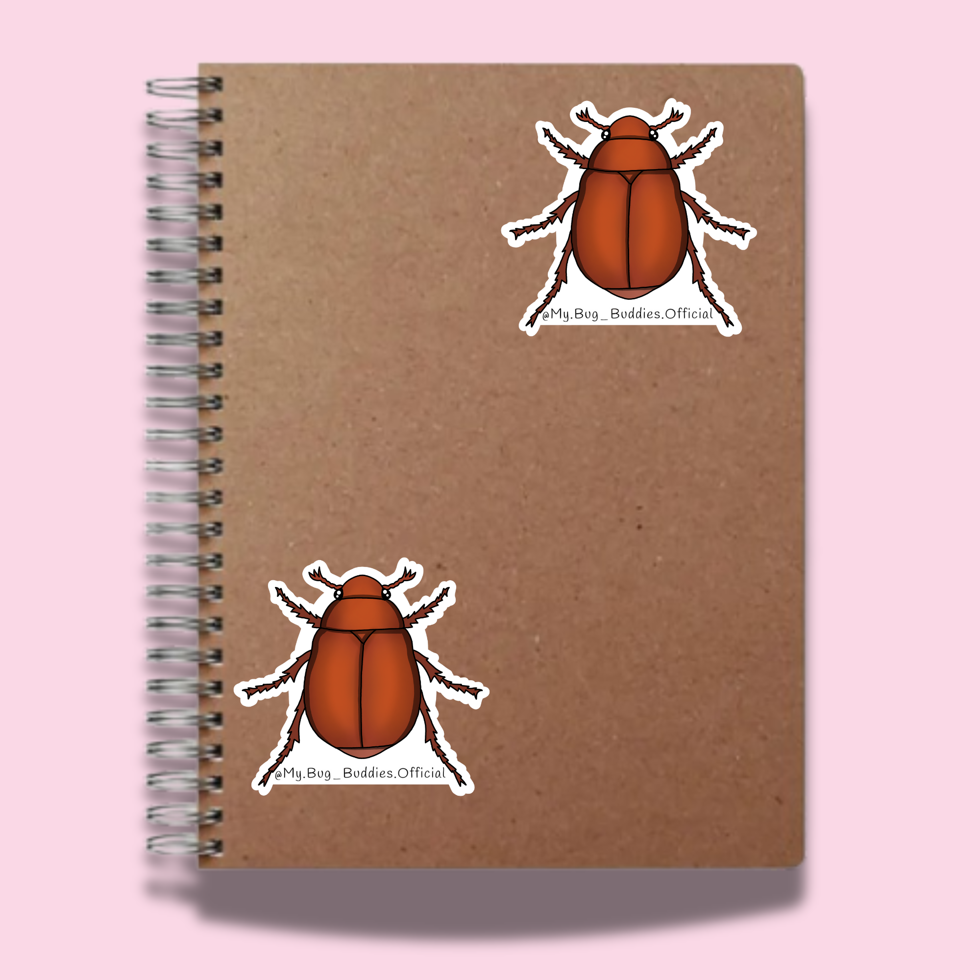 S-081 Brown June Beetle NC.png