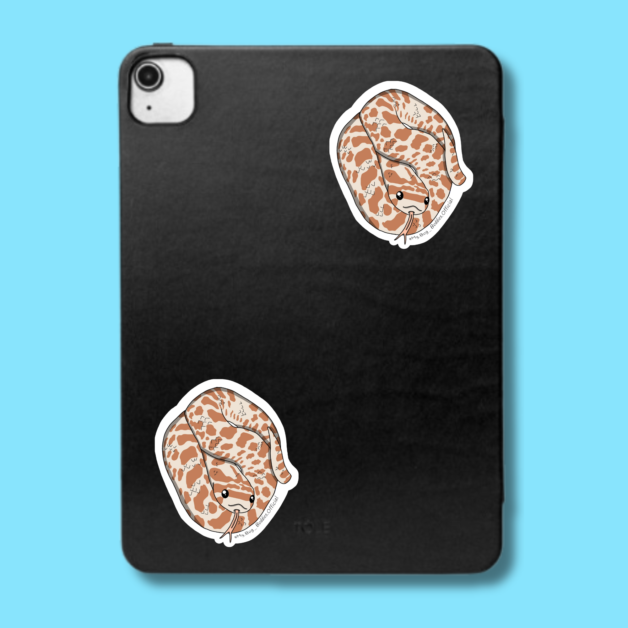 S-055 Albino Hognose Coil LC.png