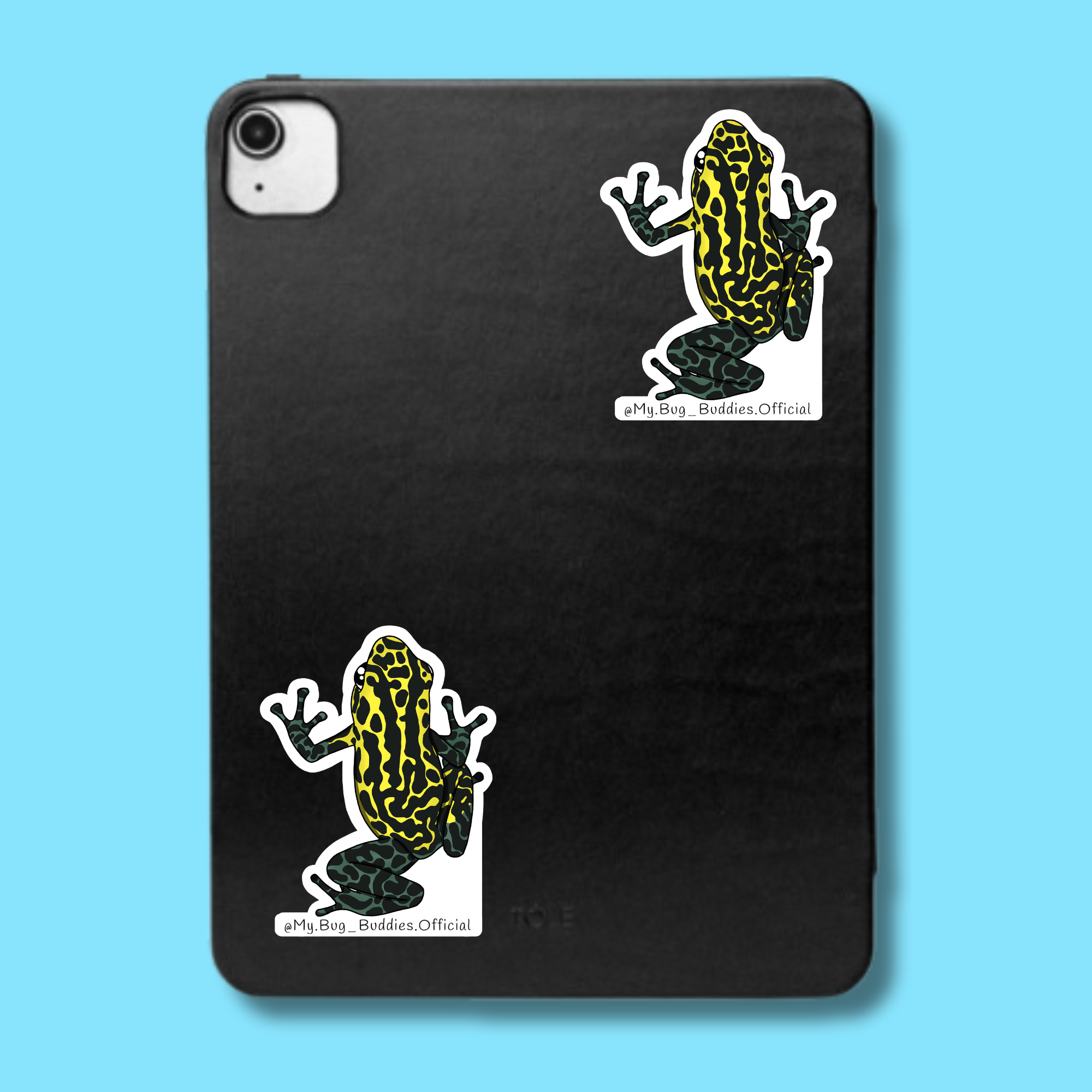 S-064 Green-Legged Dart Frog LC.png