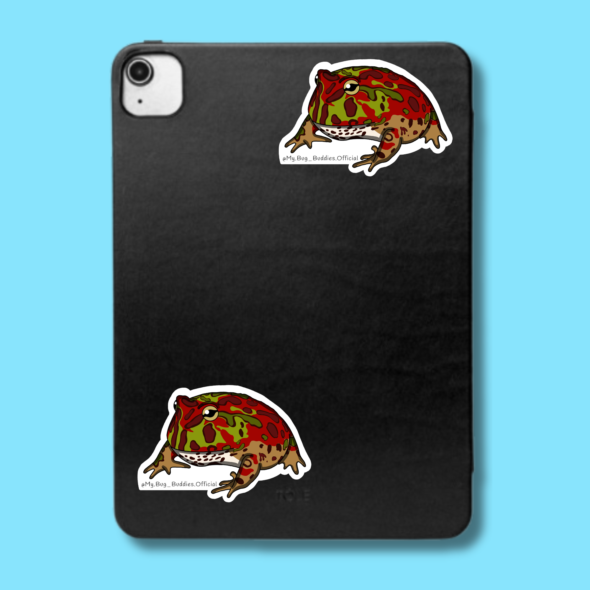 S-039 Green & Red Pacman Frog LC.png