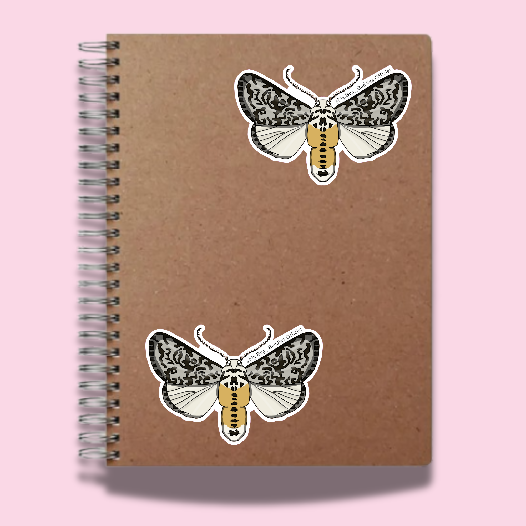 S-125 White Small Moth Butterfly NC.png