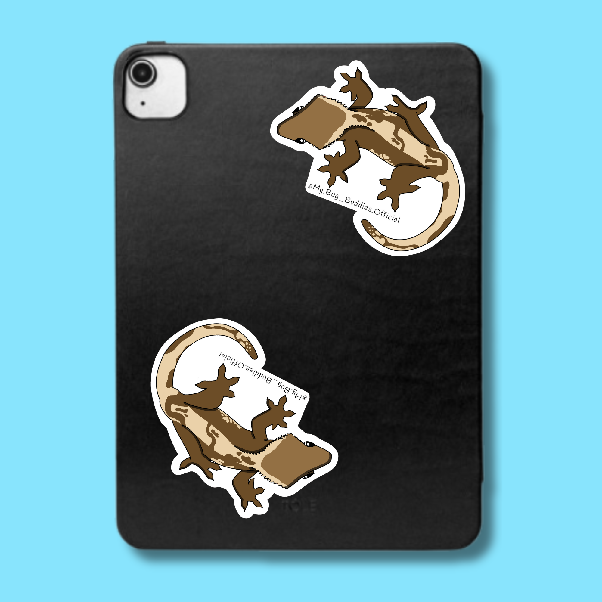 S-094 V.1 Crested Gecko  LC.png