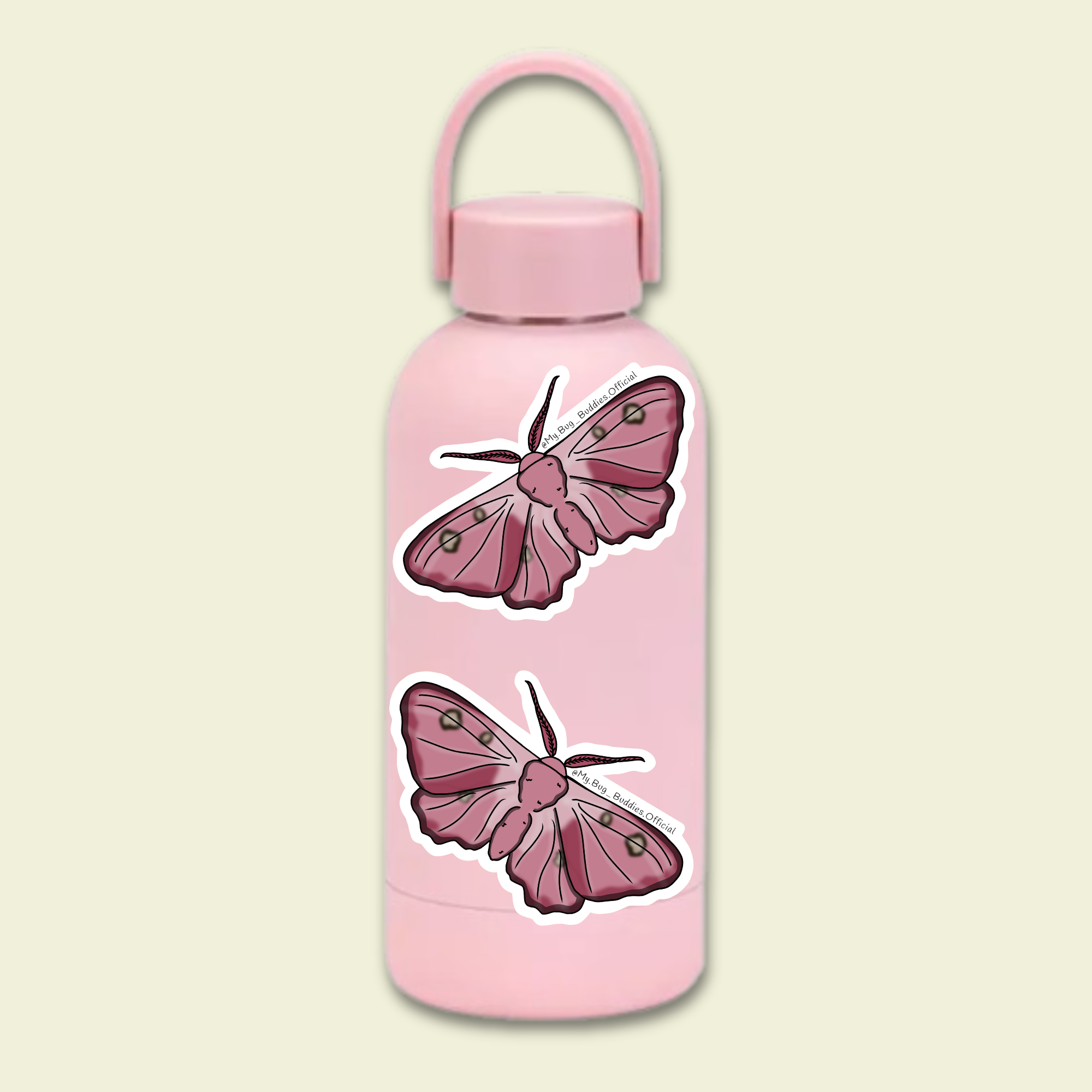 S-124 Dogins Pink Bullseye Moth WC.png