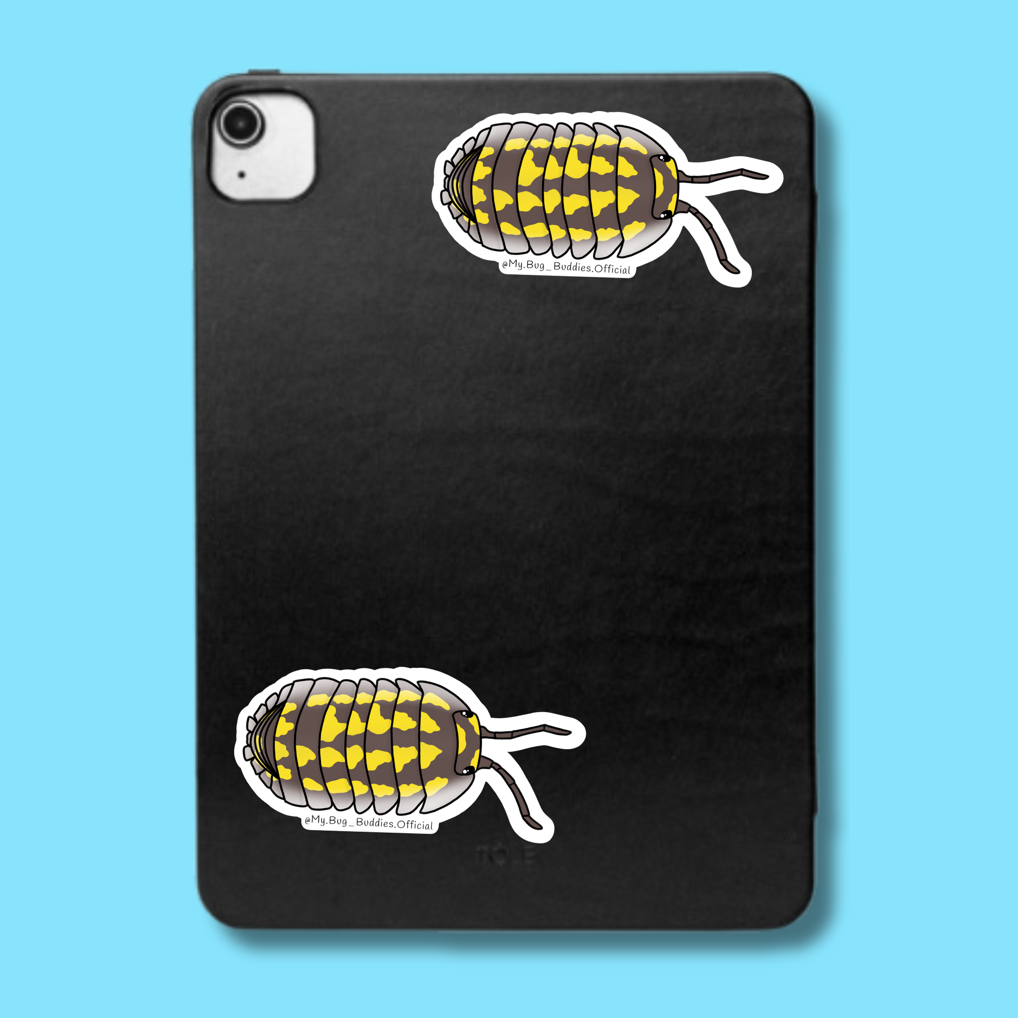 S-046 Gestroi White Side Isopod LC.png