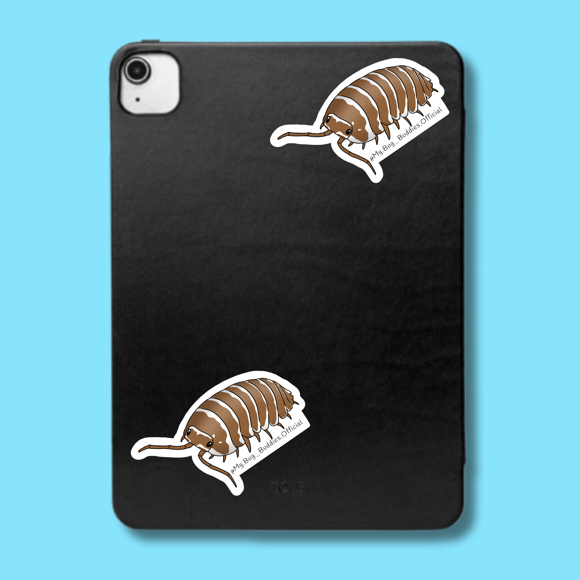 S-111 Chocolate Zebra Isopod LC.png
