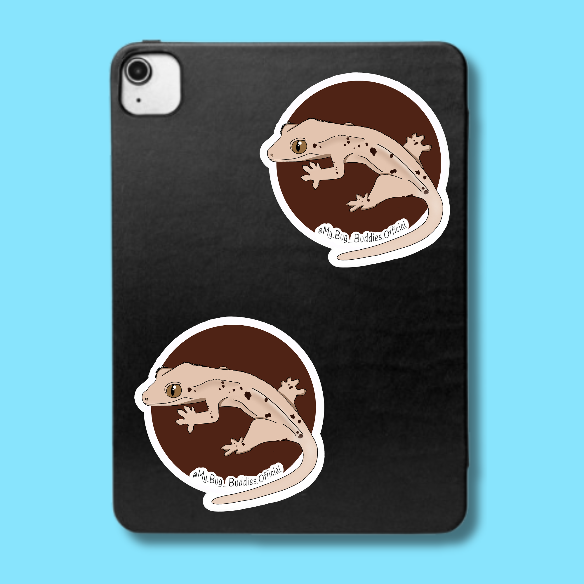S-026 Crested Gecko Circle LC.png