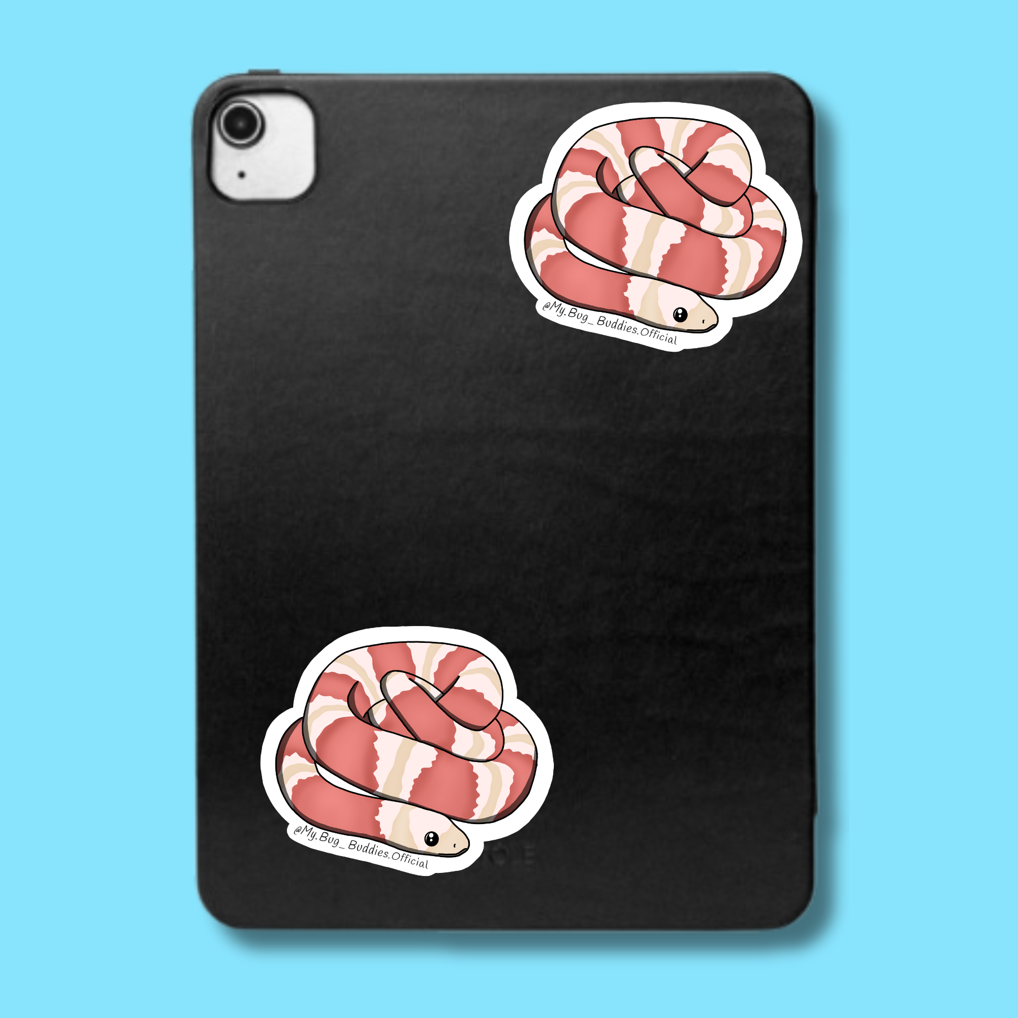 S-044 Albino Milk Snake LC.png