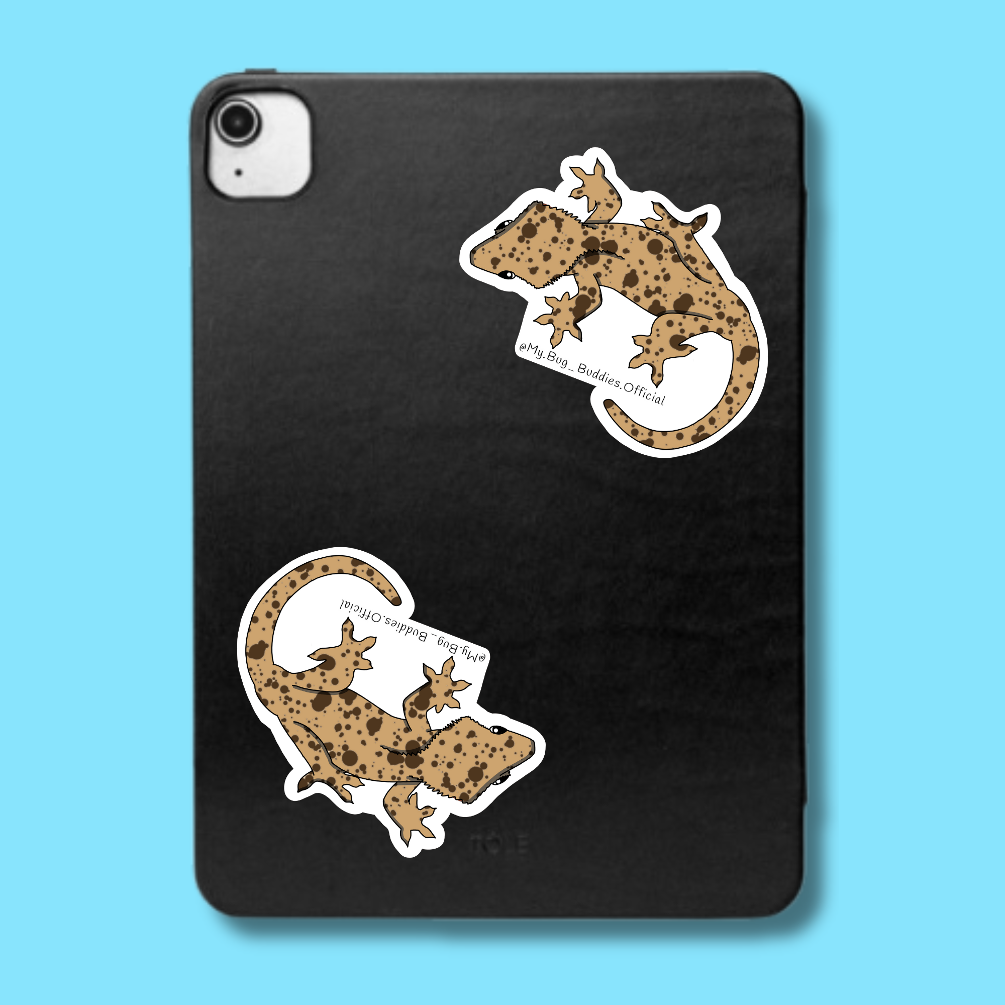 S-096 V.3 Crested Gecko LC.png