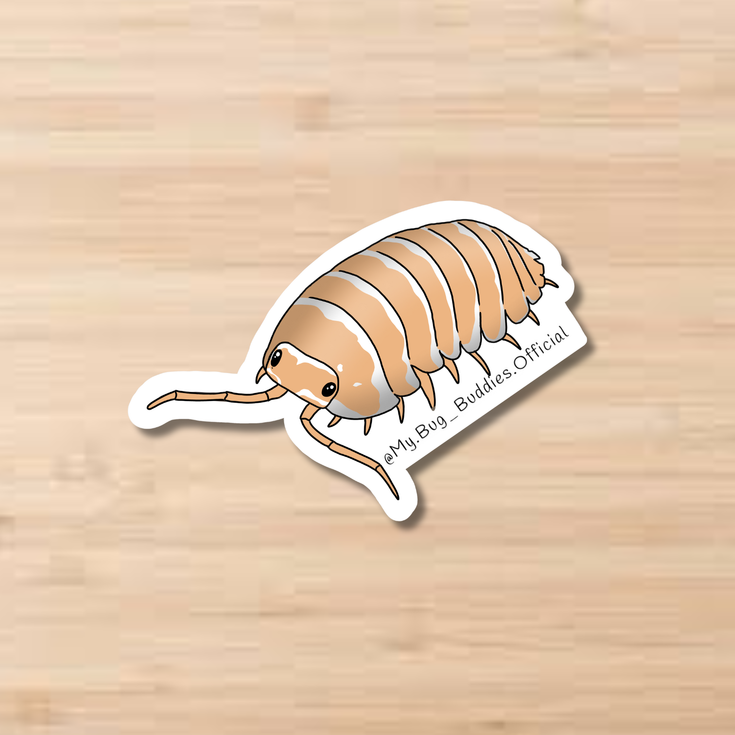 Website Product Pictures (14).png