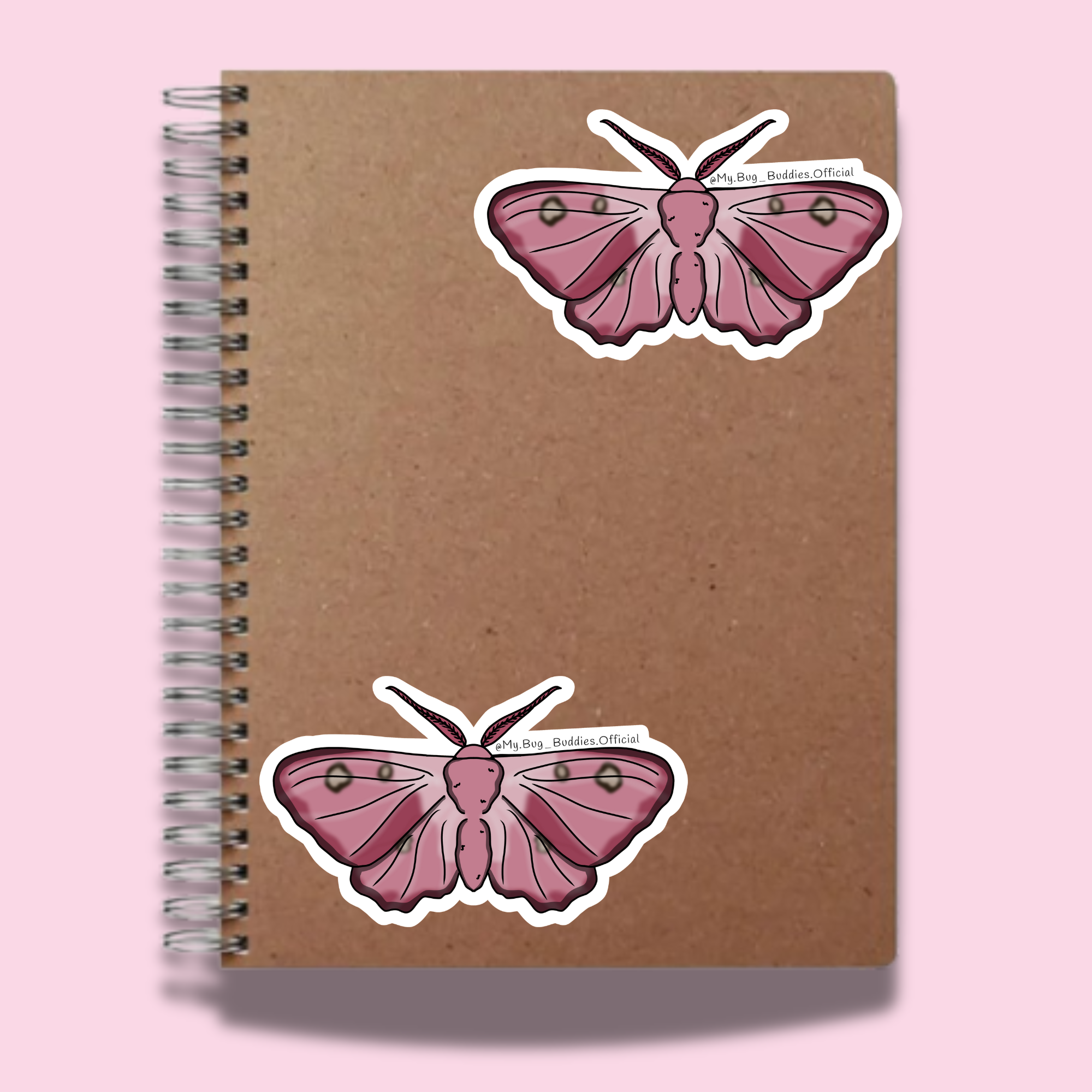 S-124 Dogins Pink Bullseye Moth NC.png