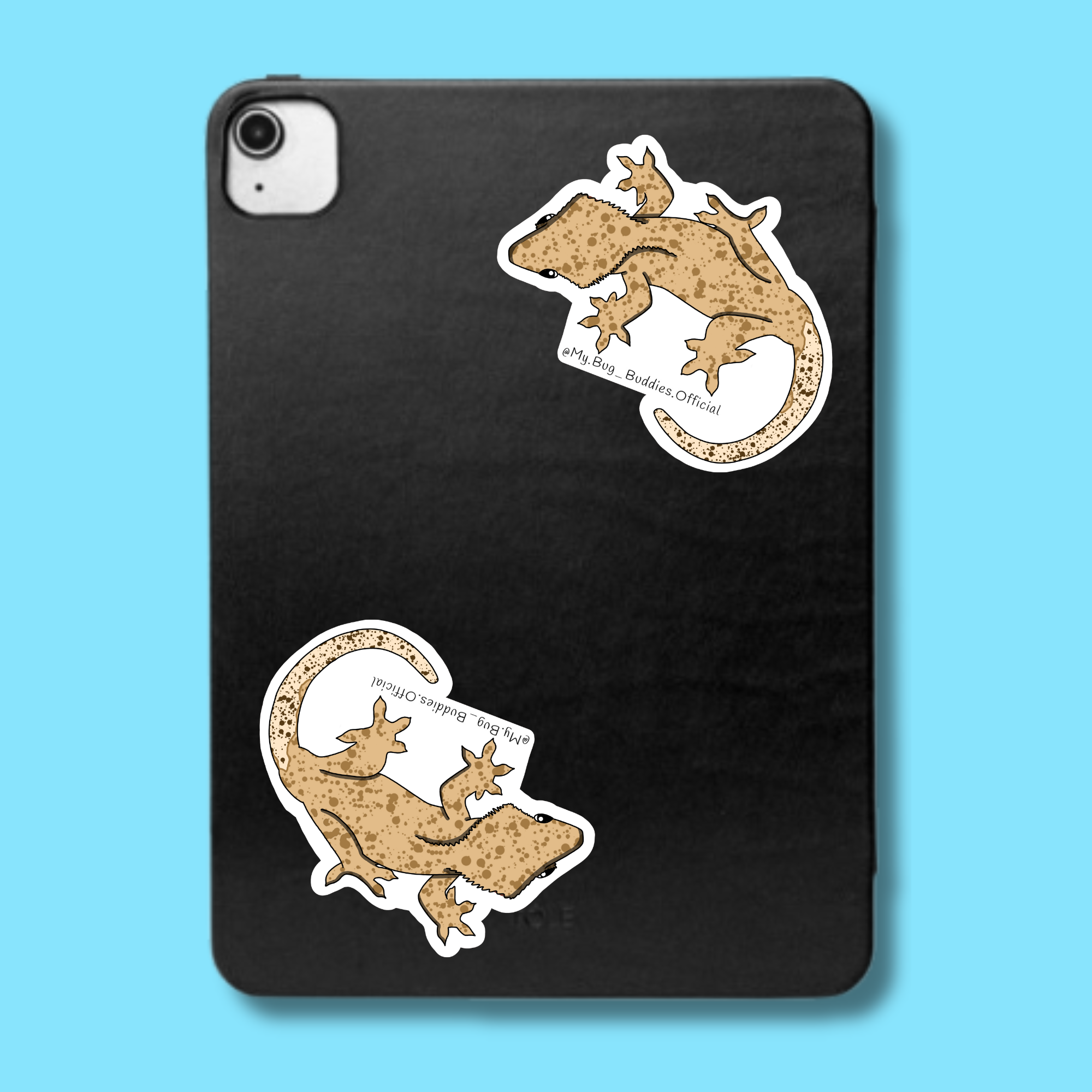 S-095 V.2 Crested Gecko LC.png