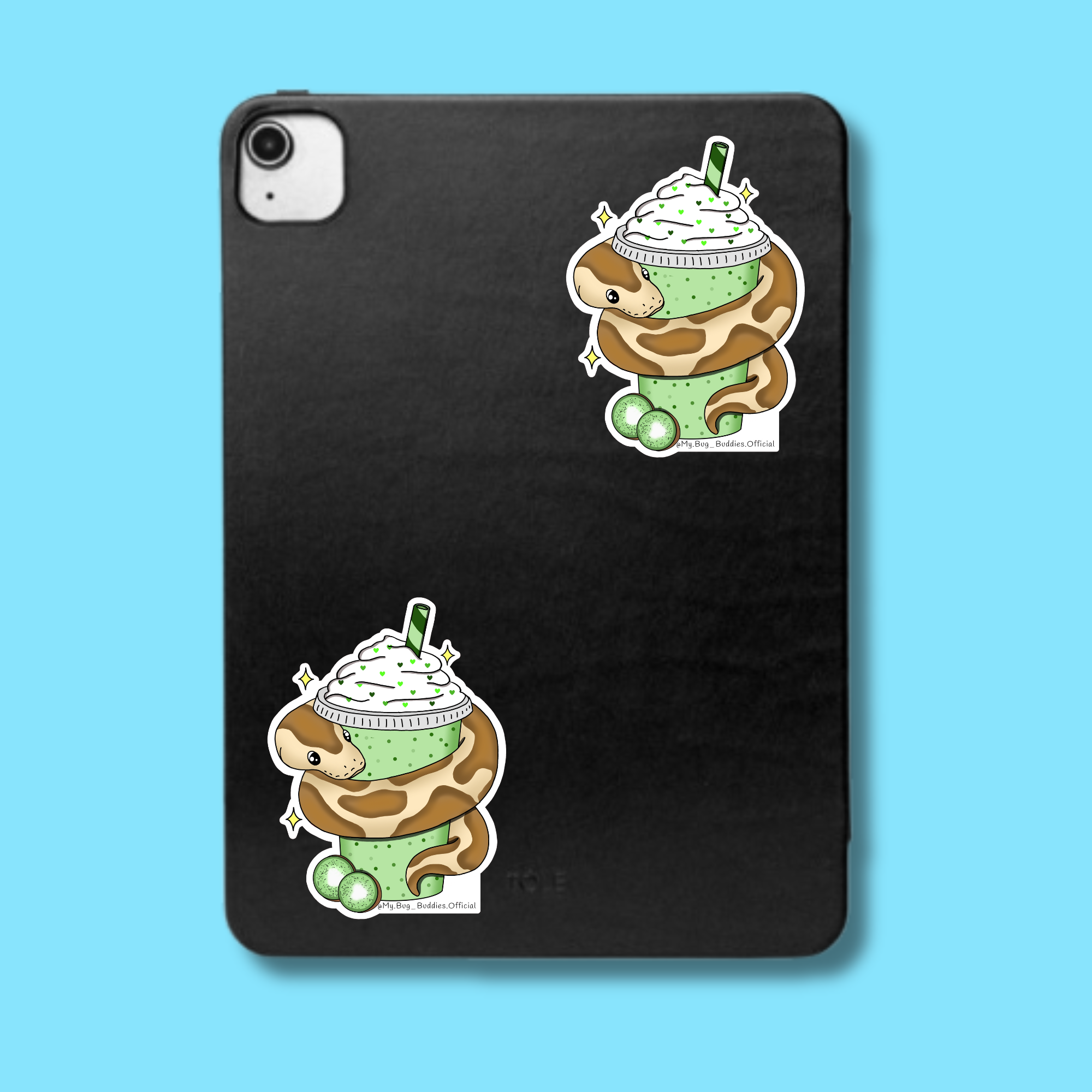 S-141 Kiwi Snake-Shake LC.png