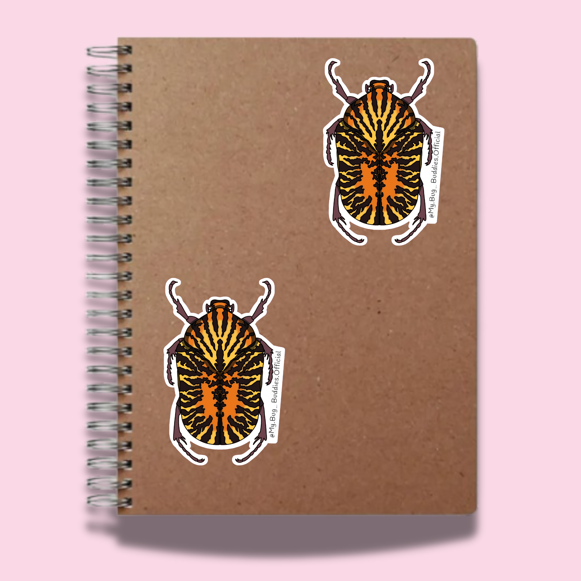 S-129 Mexican Flower Chafer Beetle NC.png