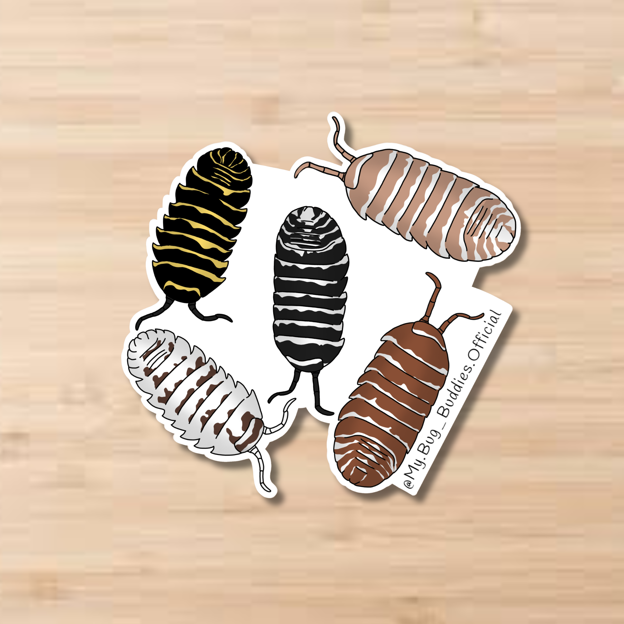 Maculatum Morphs Sticker