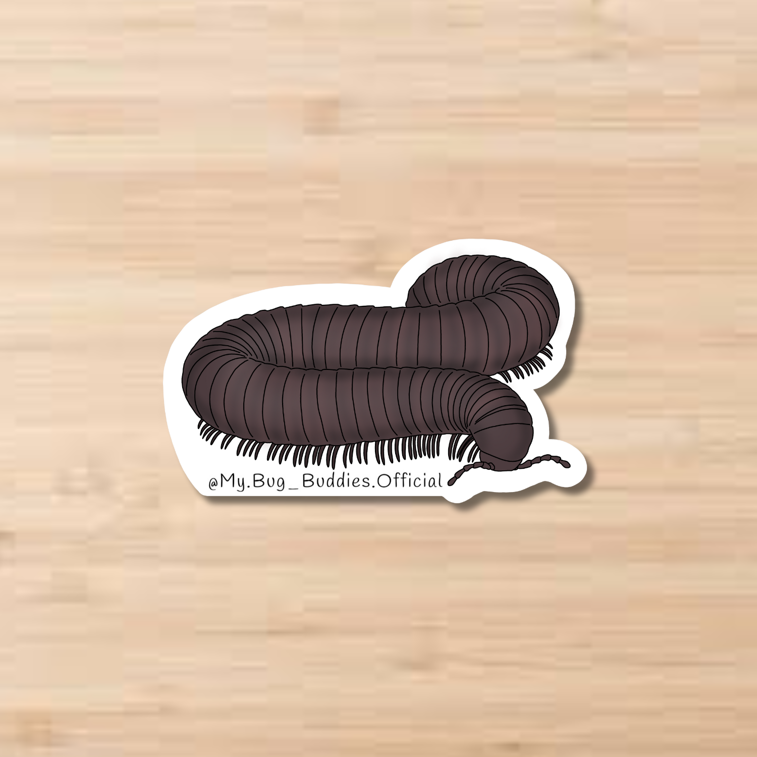 African Giant Millipede Sticker