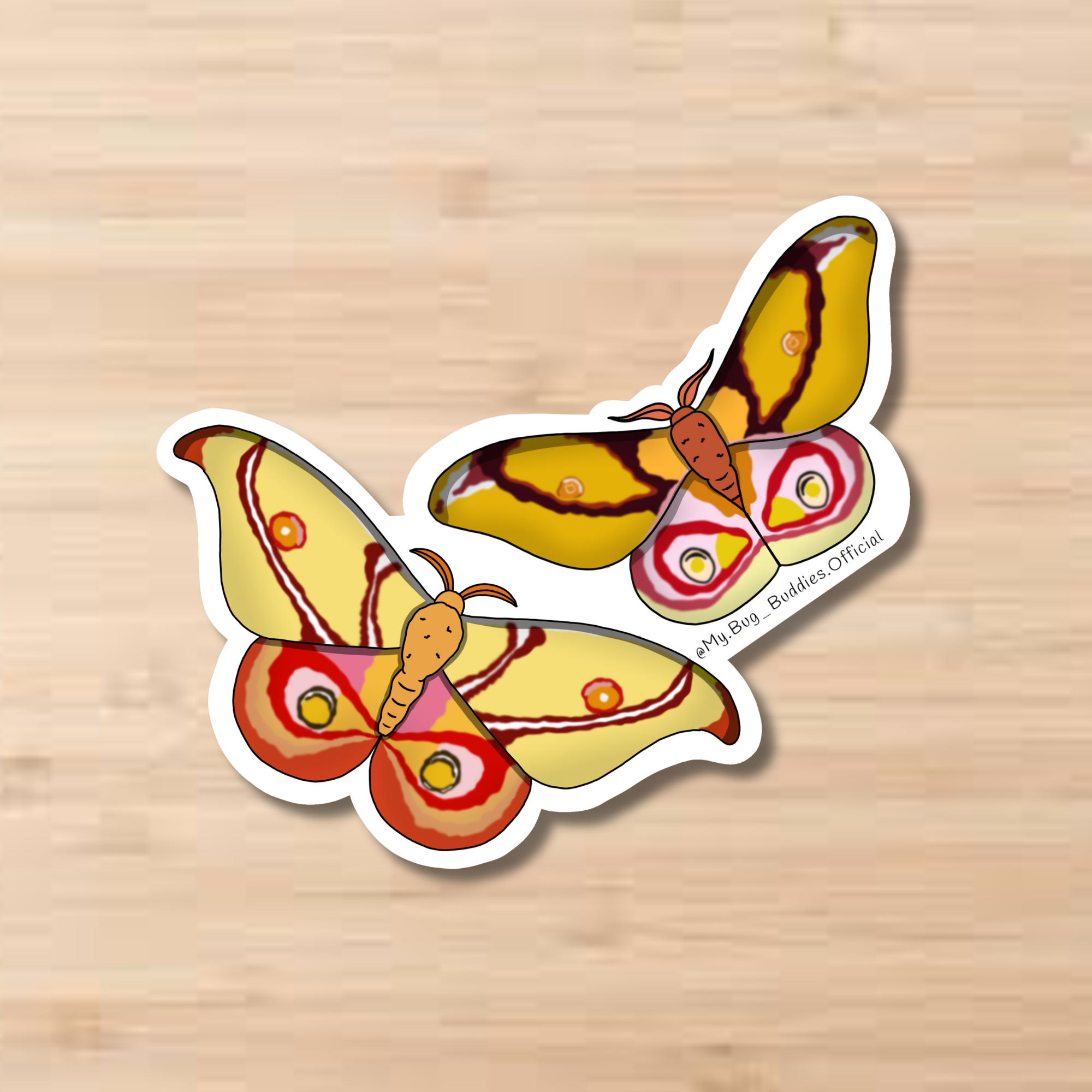 Madagascar Bullseye Moths Sticker