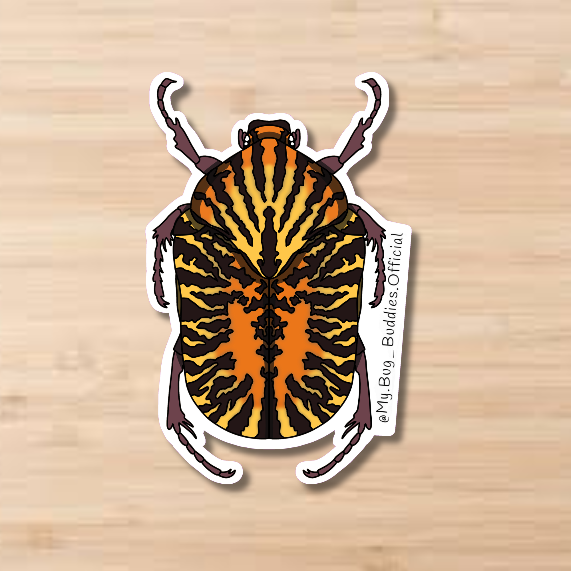 Mexican Flower Chafer Beetle Sticker