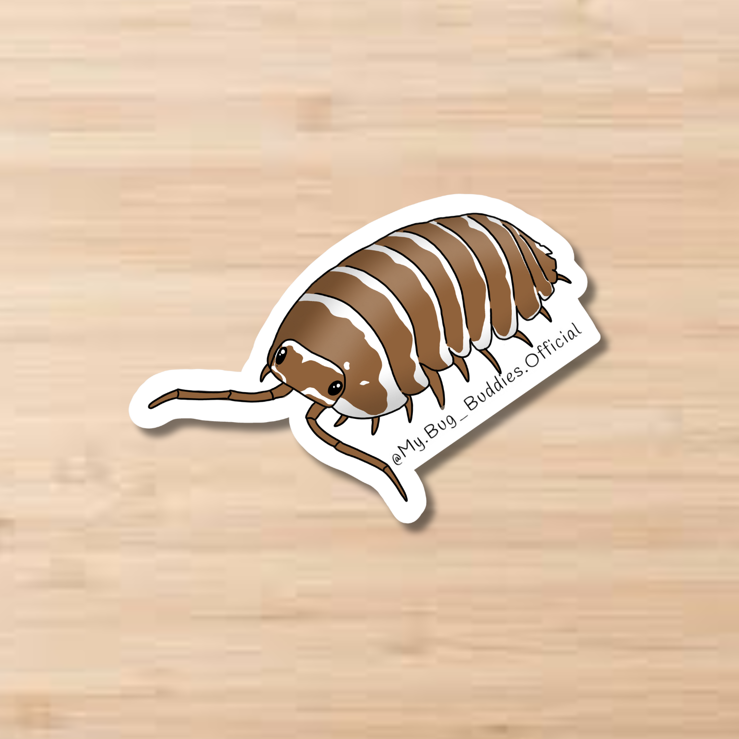 Website Product Pictures (13).png