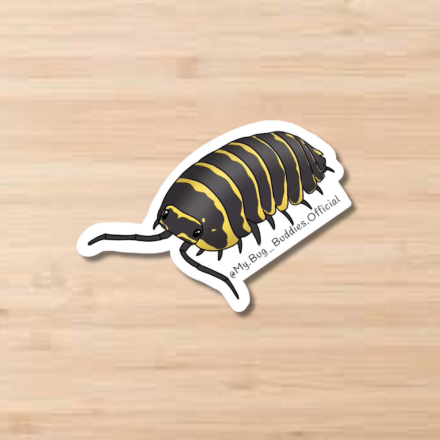 Website Product Pictures (15).png