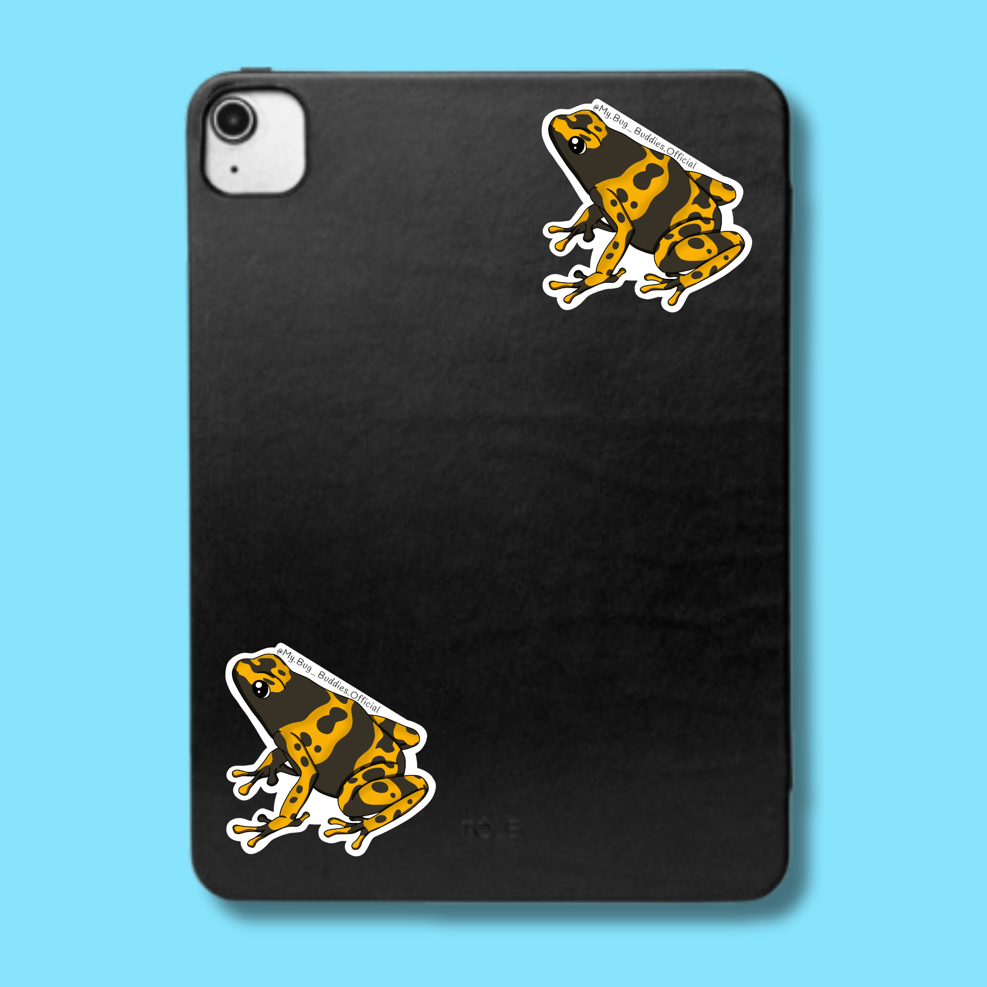 S-144 Dart Frog LC.png