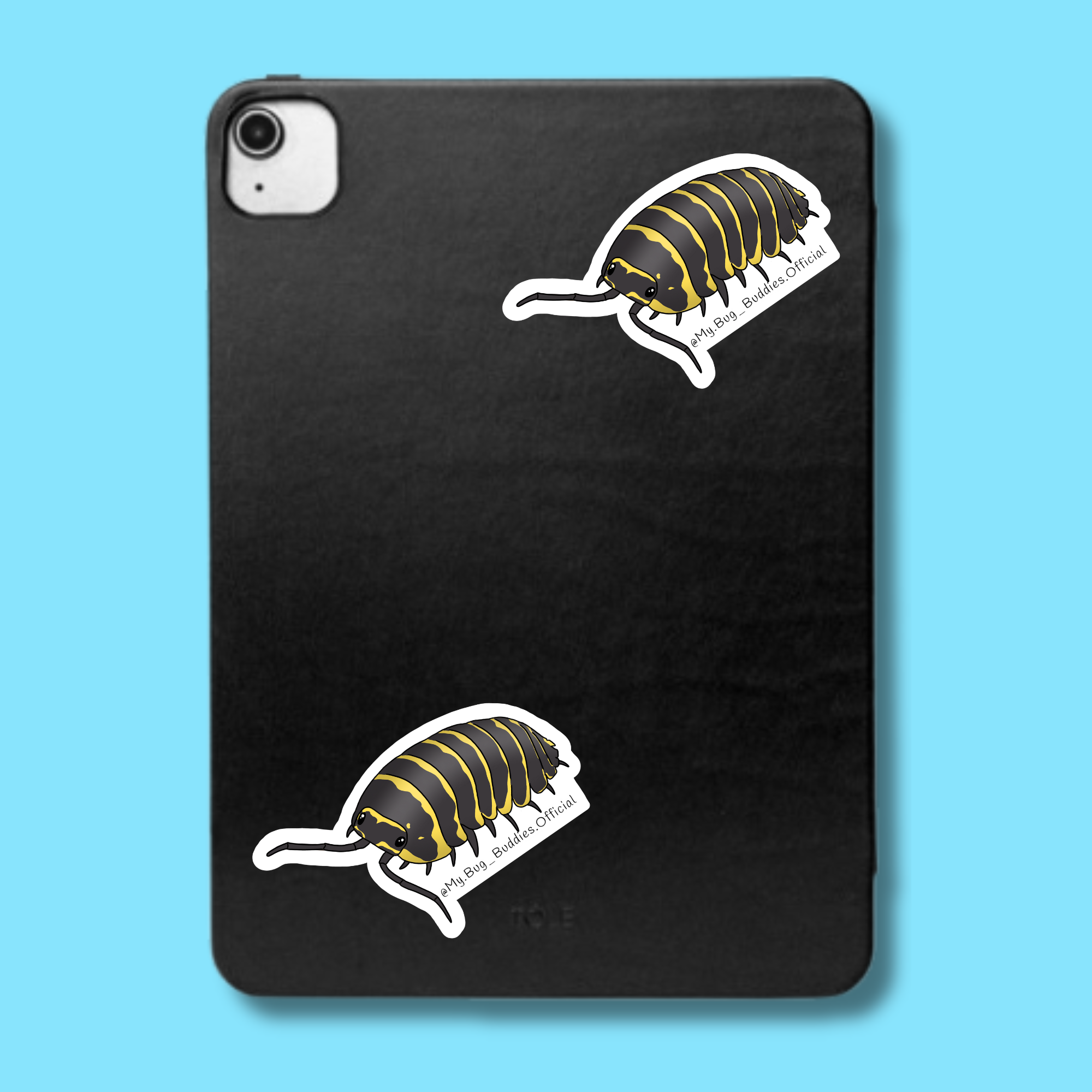S-113 Yellow Zebra Isopod LC.png