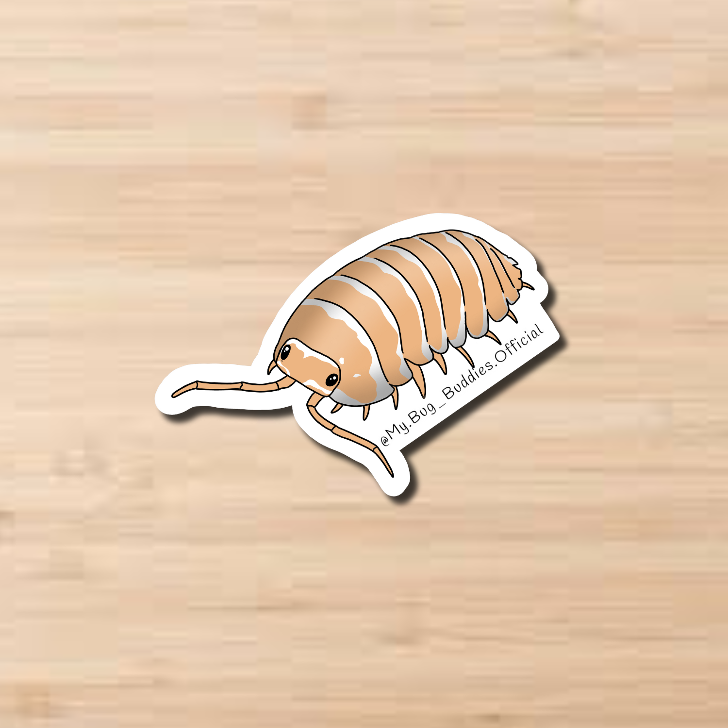 Champagne Zebra Isopod Sticker