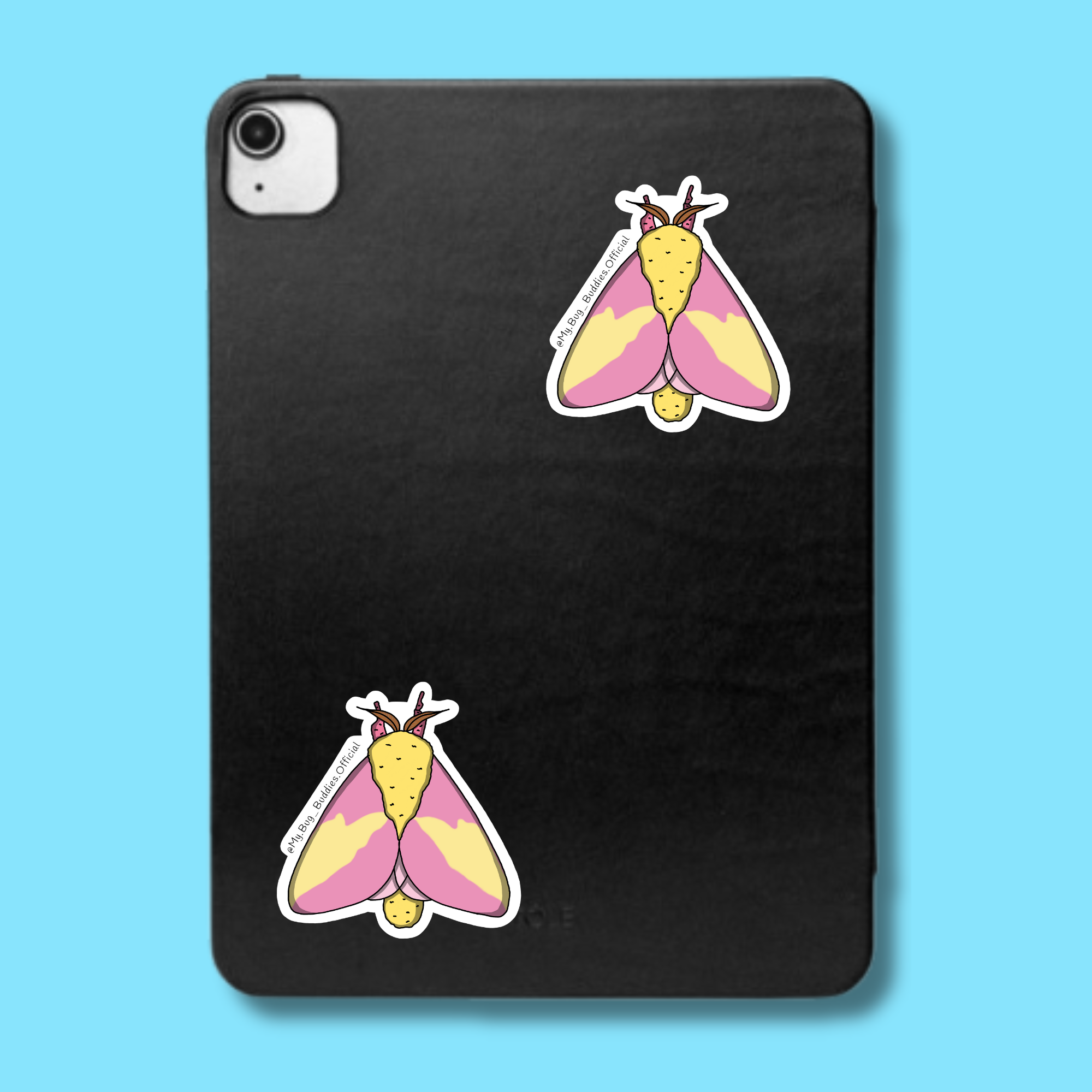 S-005 Rosy Maple Moth LC.png
