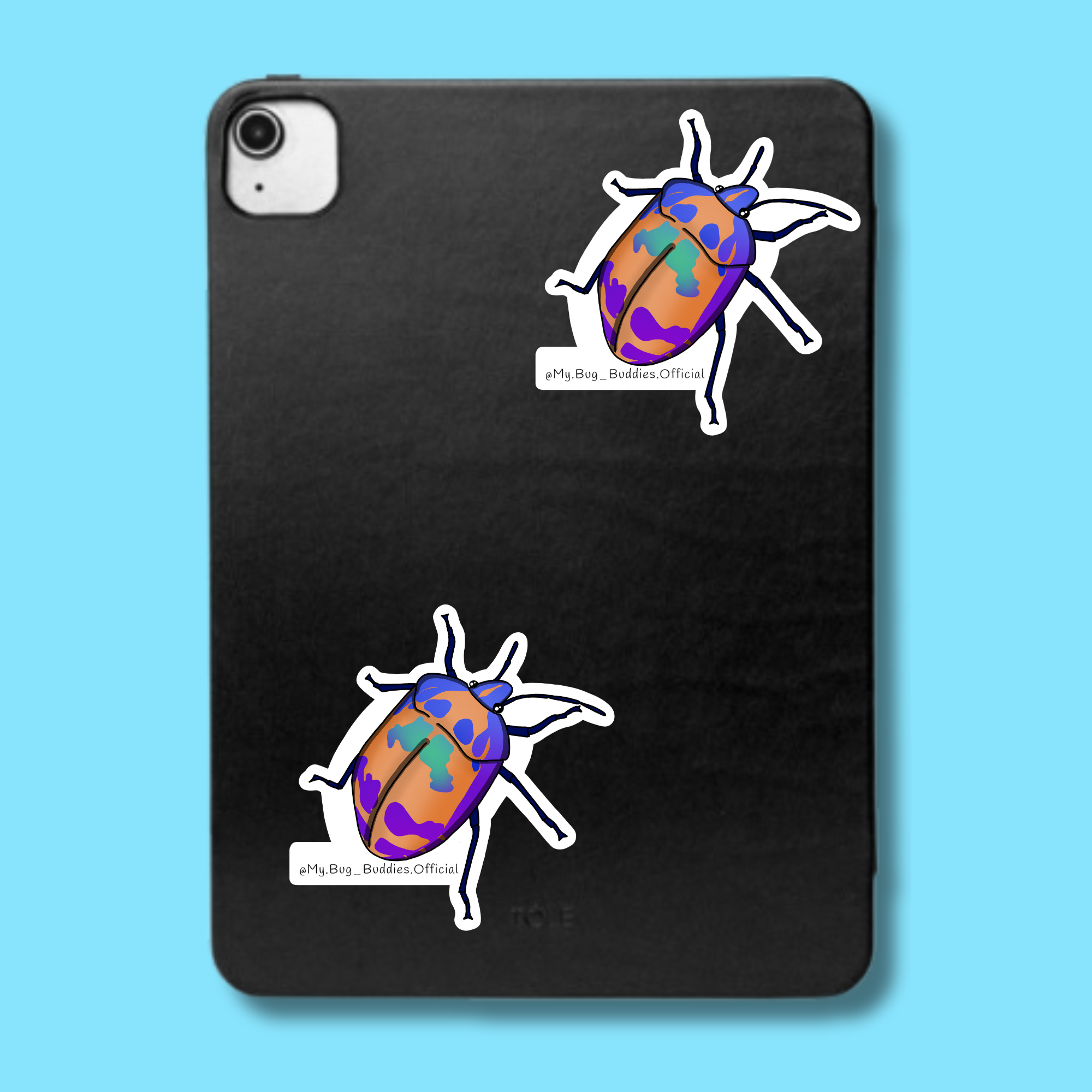 S-079 Rainbow Beetle LC.png