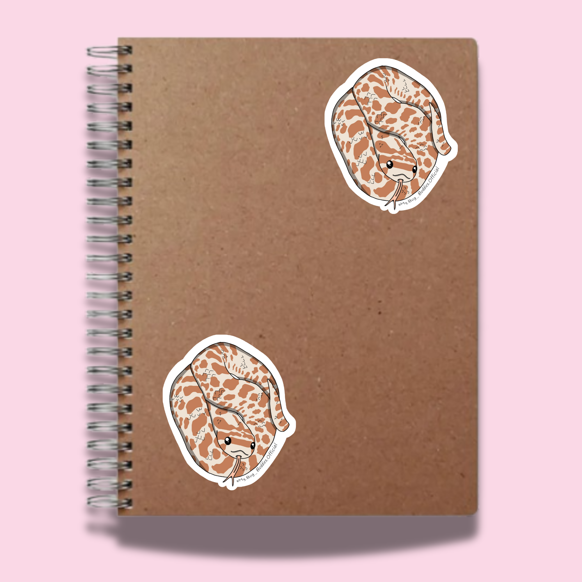 S-055 Albino Hognose Coil NC.png