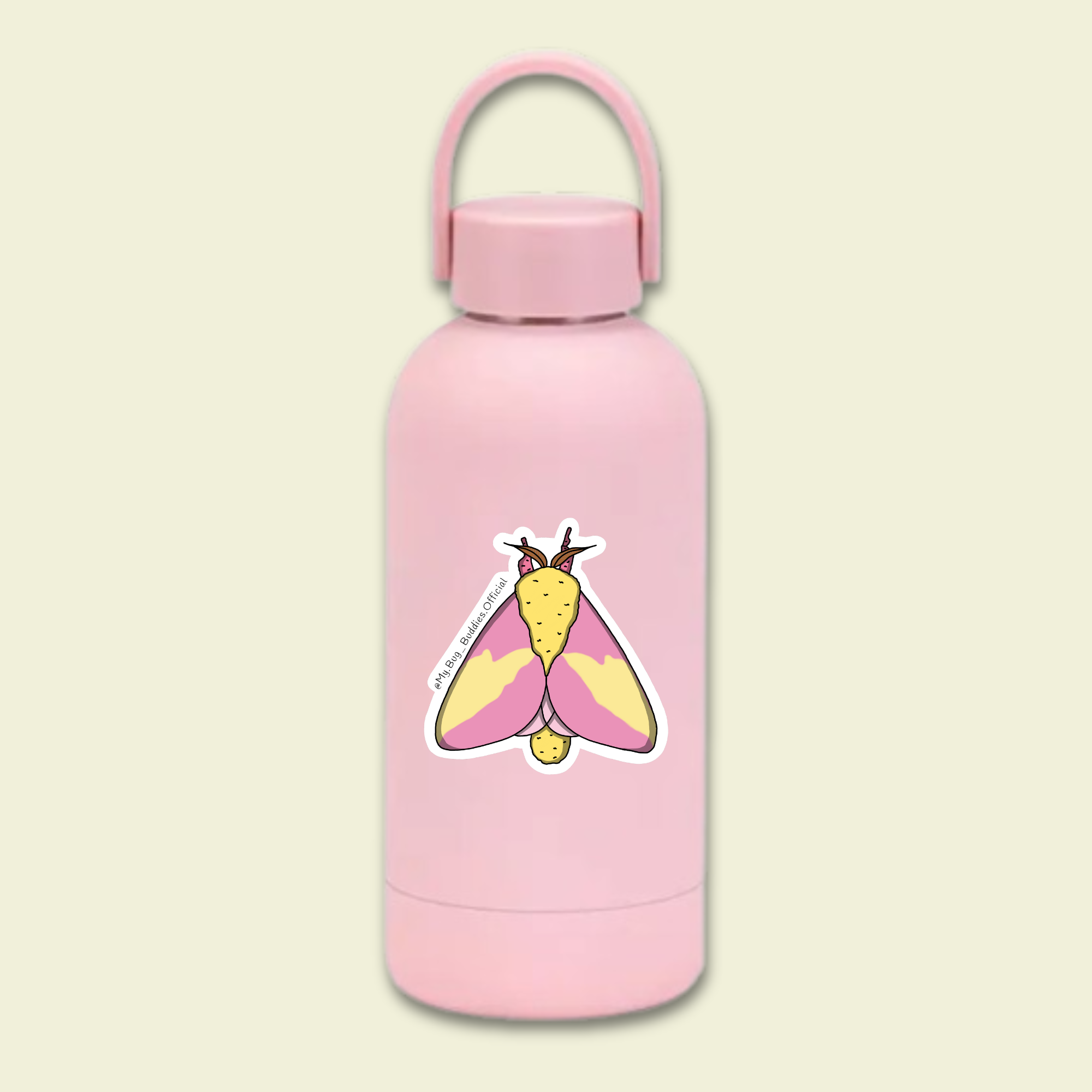 S-005 Rosy Maple Moth WC.png
