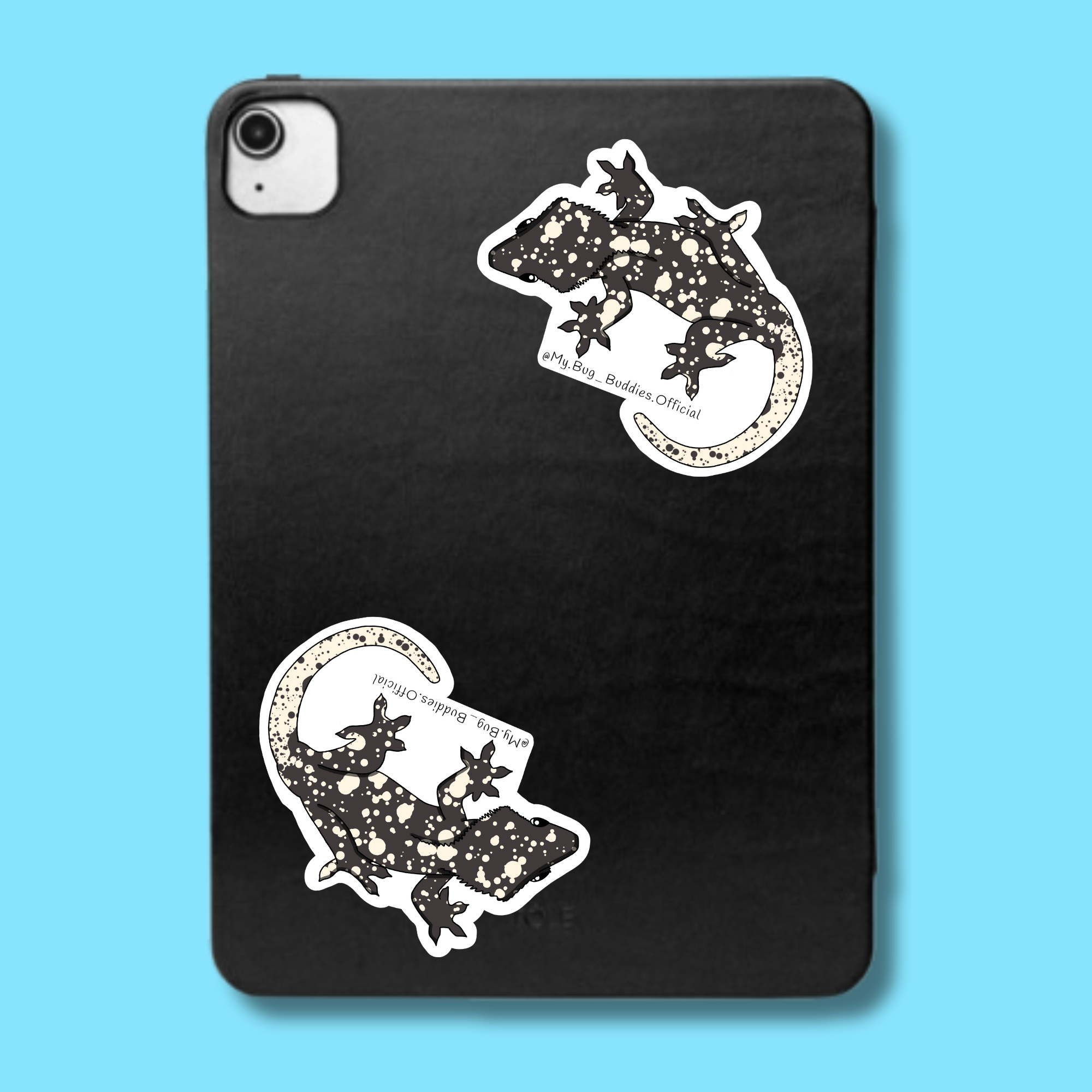 S-114 V.6 Crested Gecko LC.png