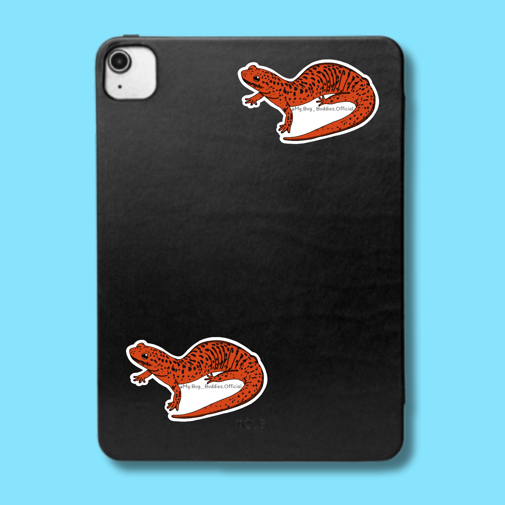 S-035 Red Salamander LC.png