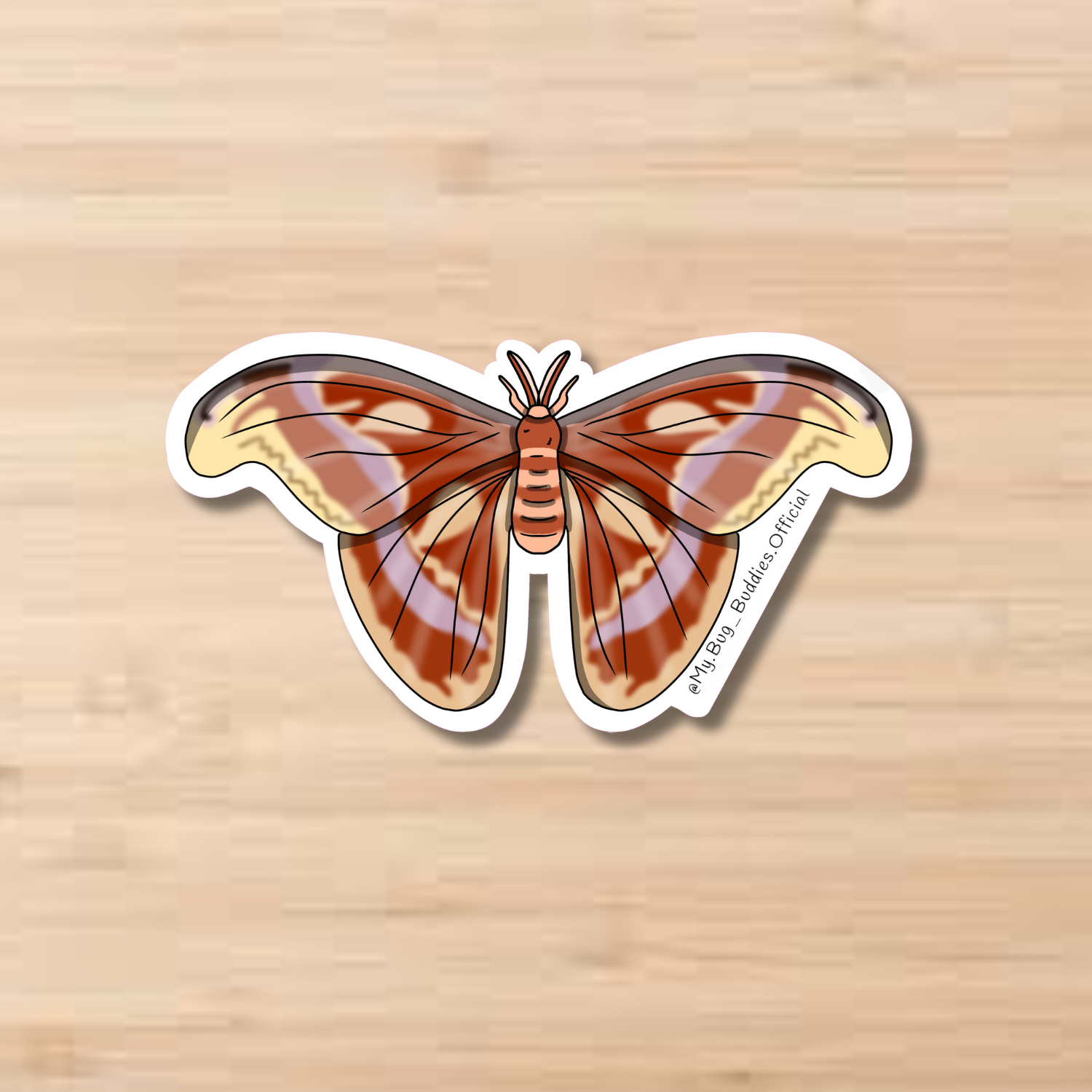 Female Atlas Moth Sticker