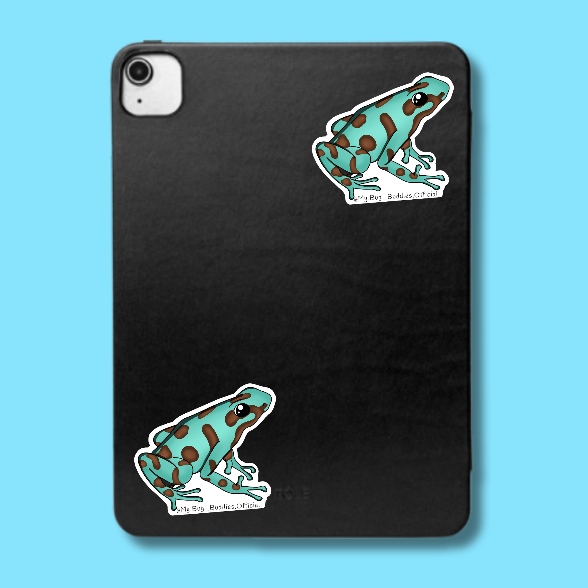 S-145 Teal Dart Frog LC.png