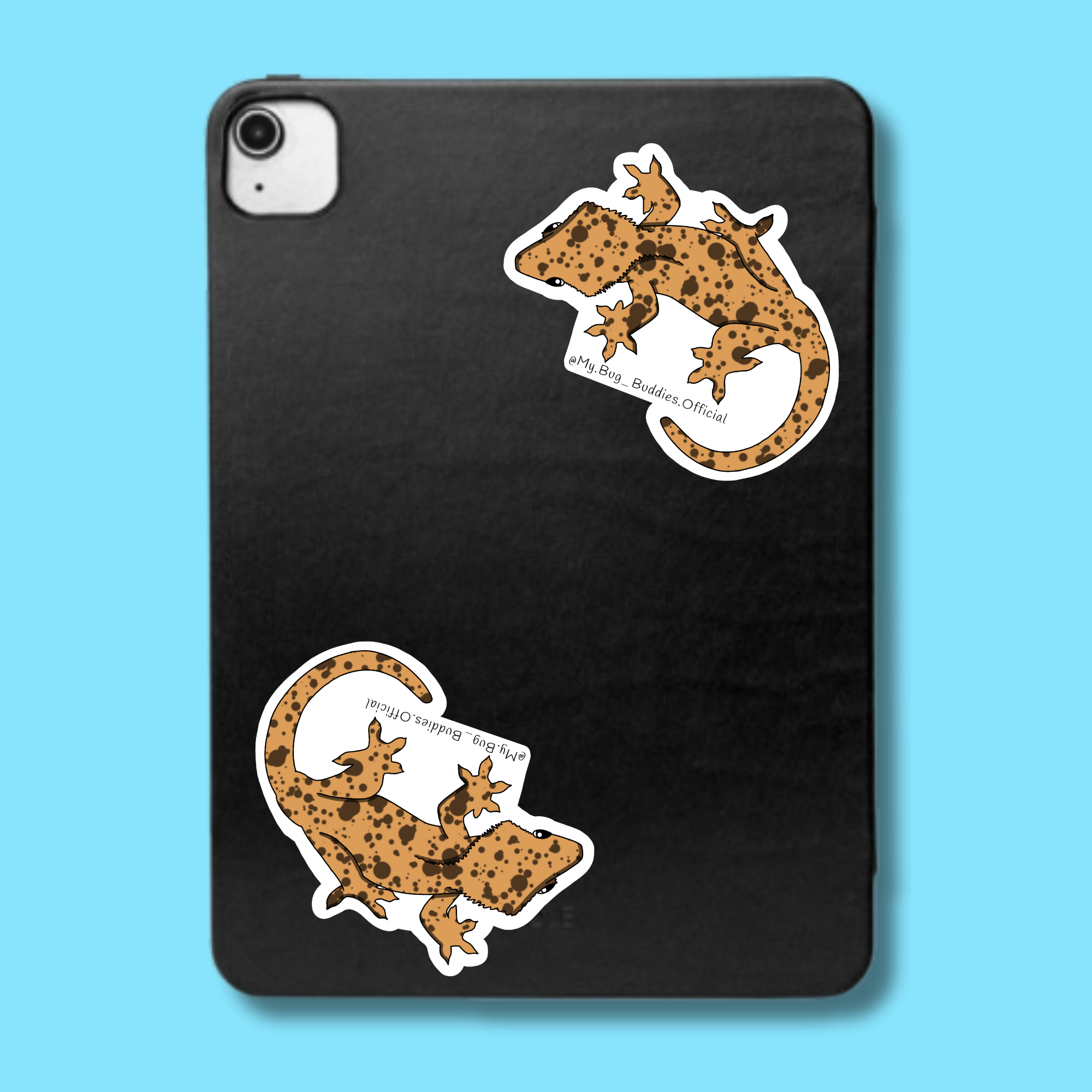 S-097 V.4 Crested Gecko LC.png