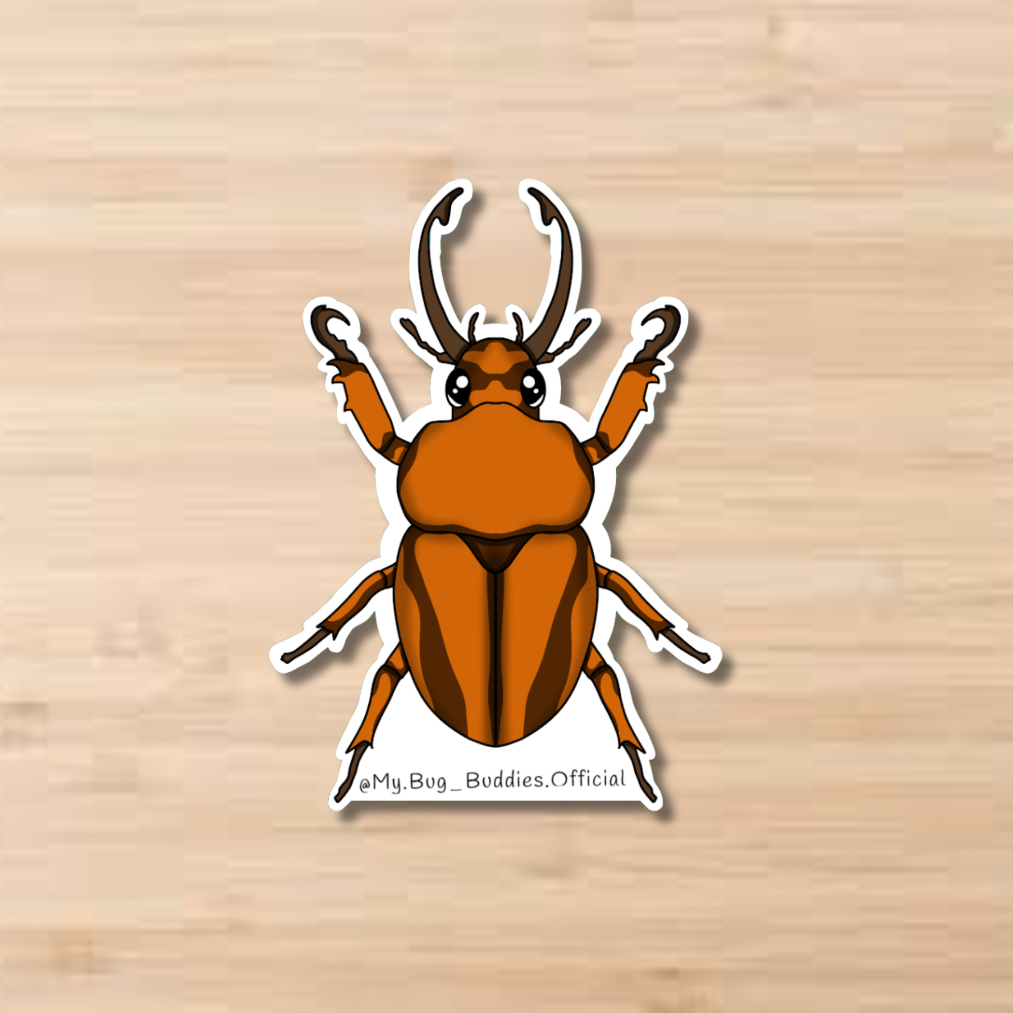 S-146 Beetle Cover.png