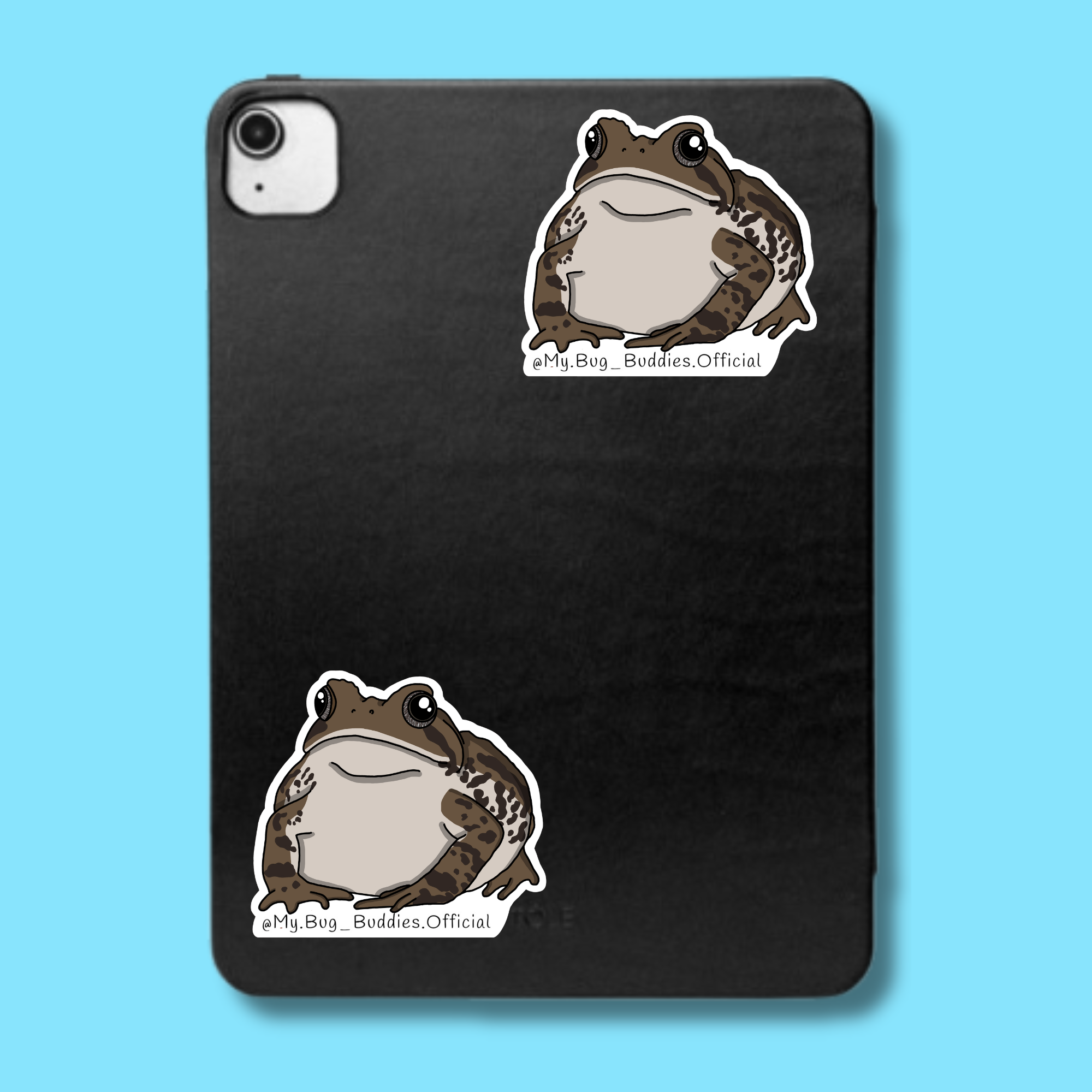 S-049 American Toad LC.png