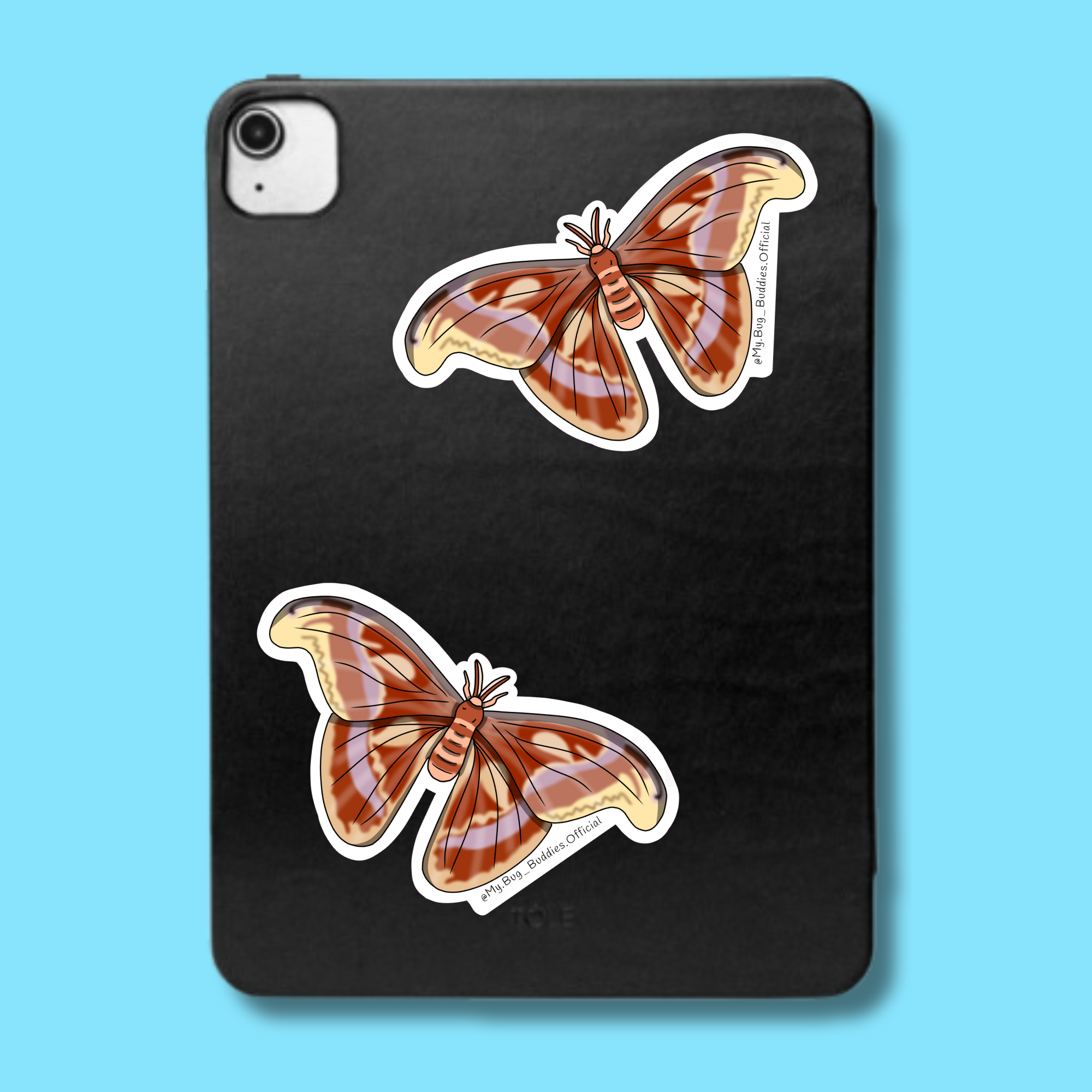 S-123 Atlas Moth LC.png