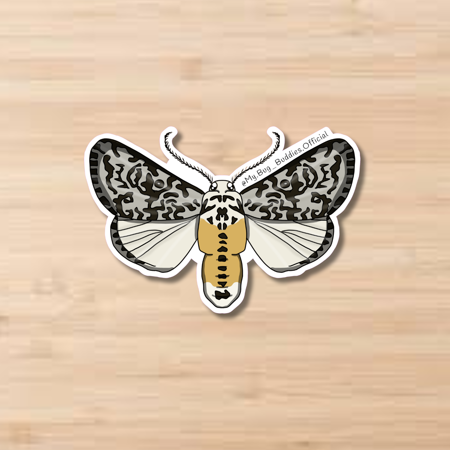 White Small Moth Butterfly Sticker